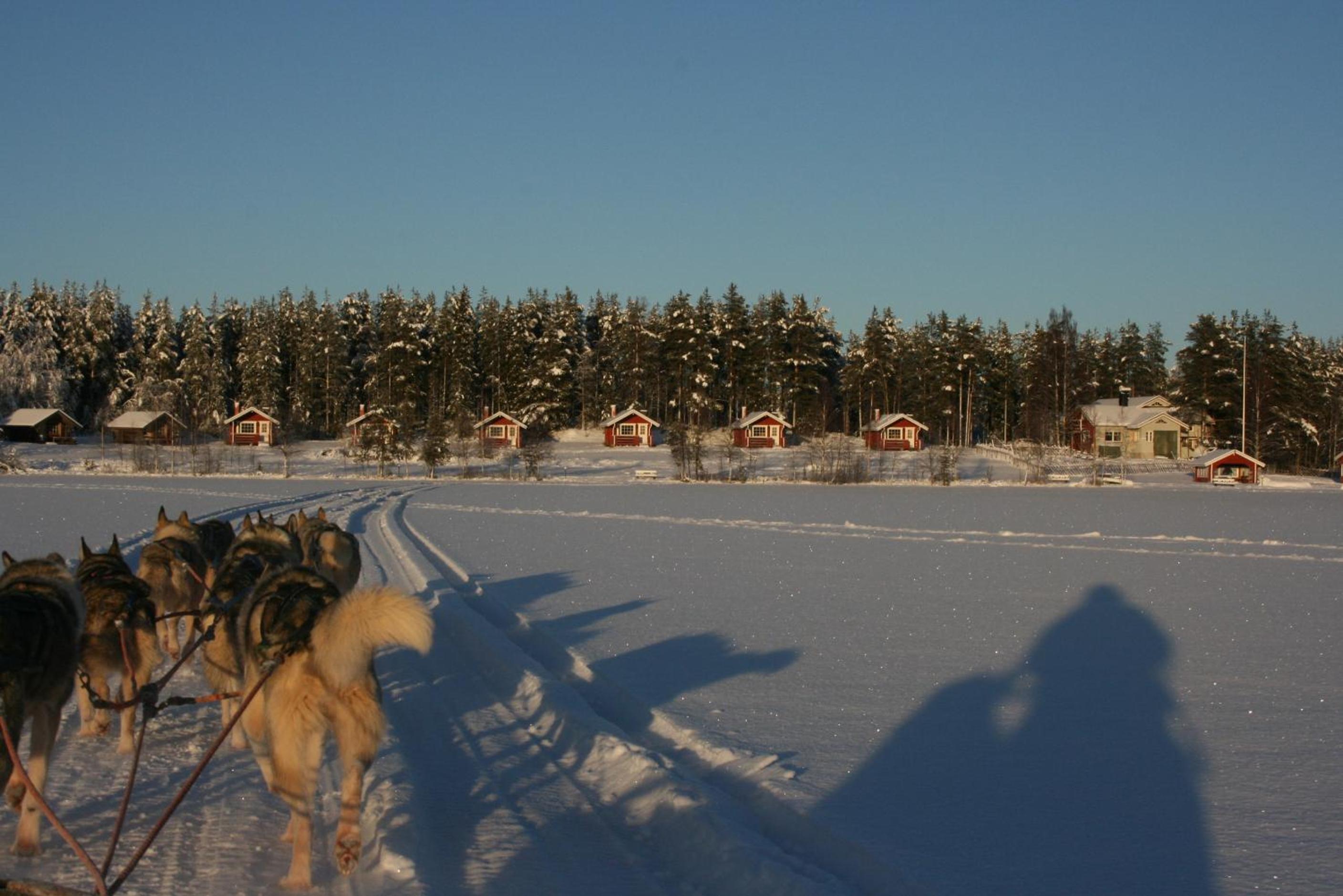 Photo 42
