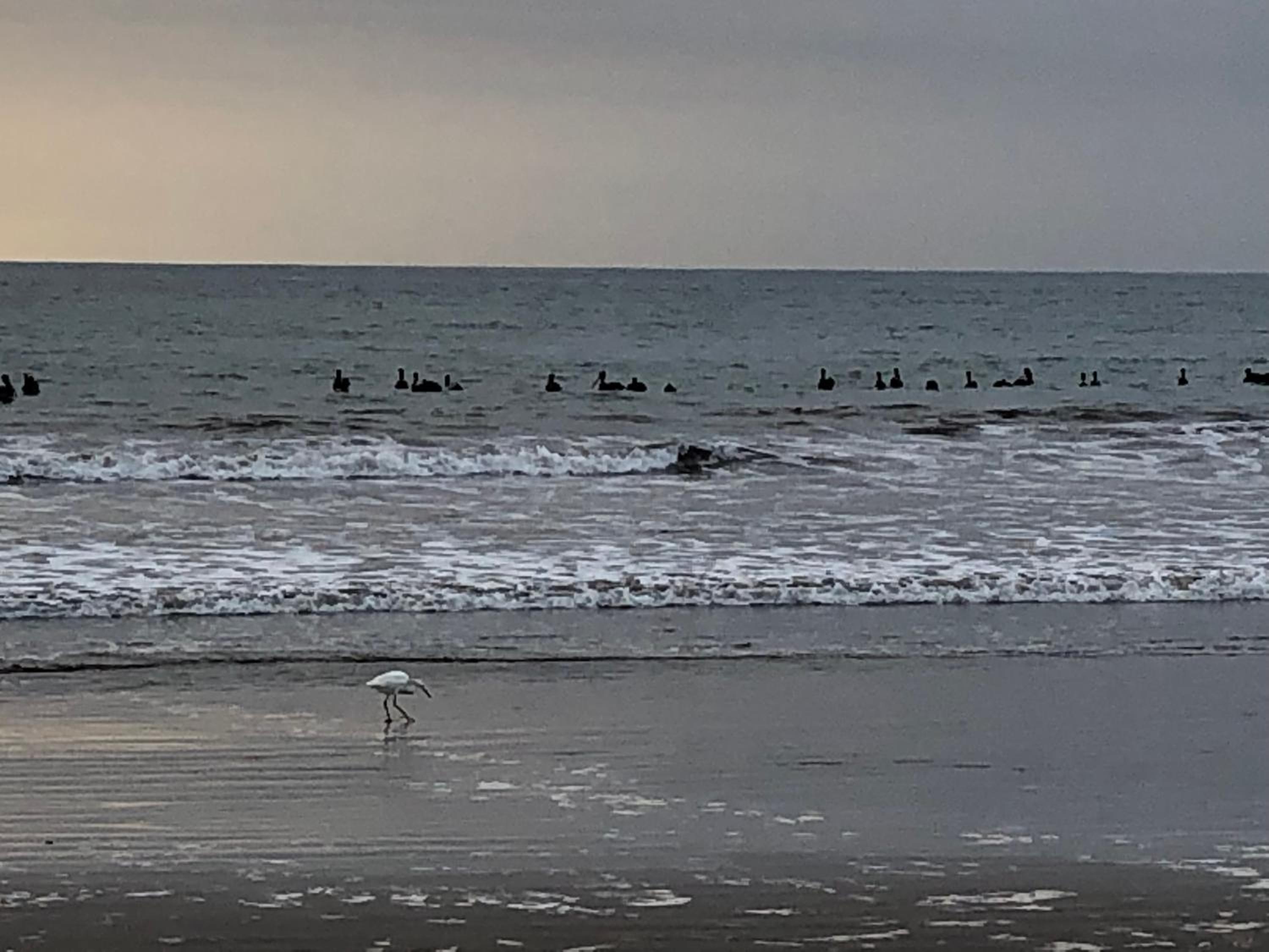 Vacations in La Serena