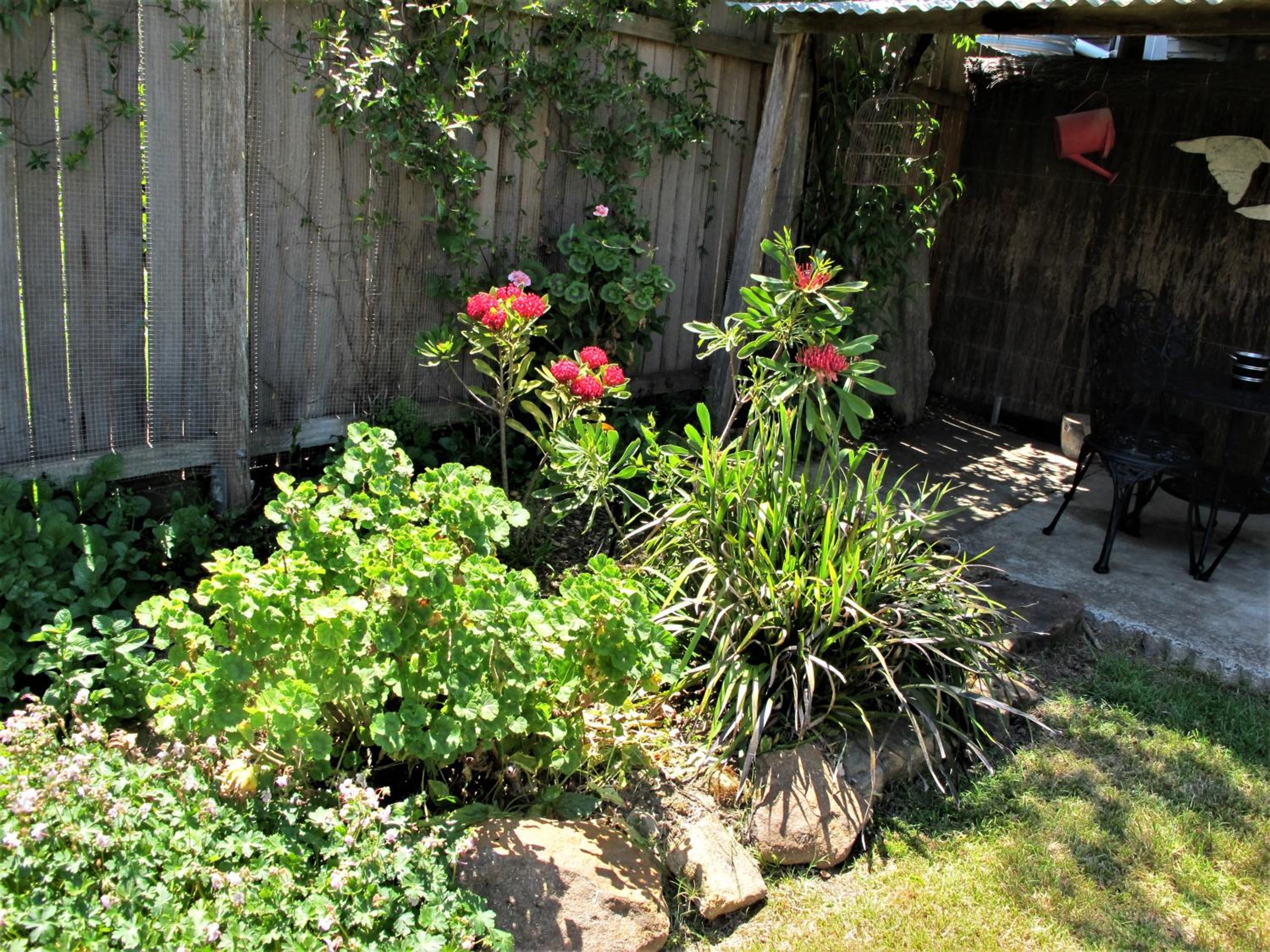 Apple Tree Cottage