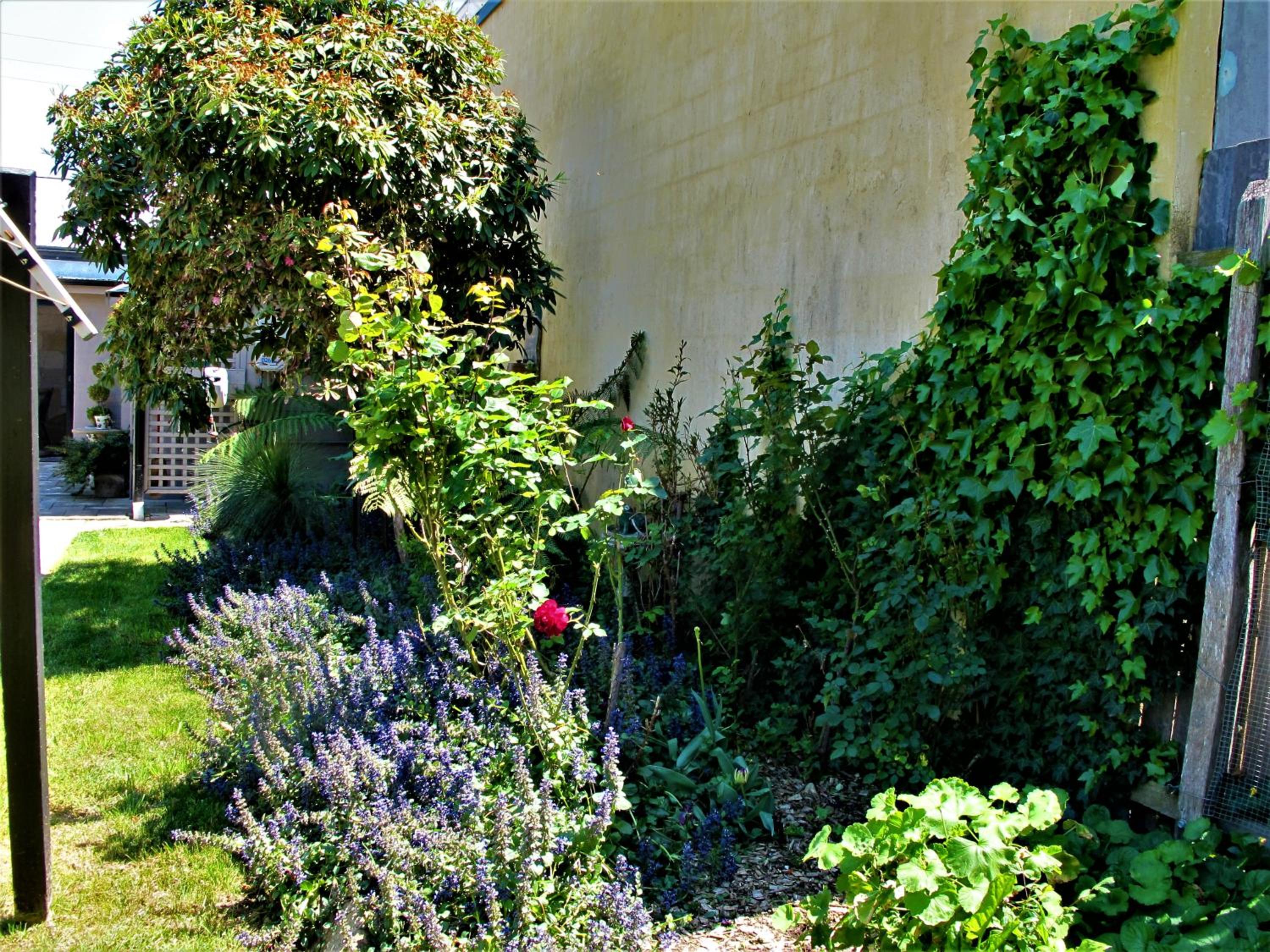 Apple Tree Cottage