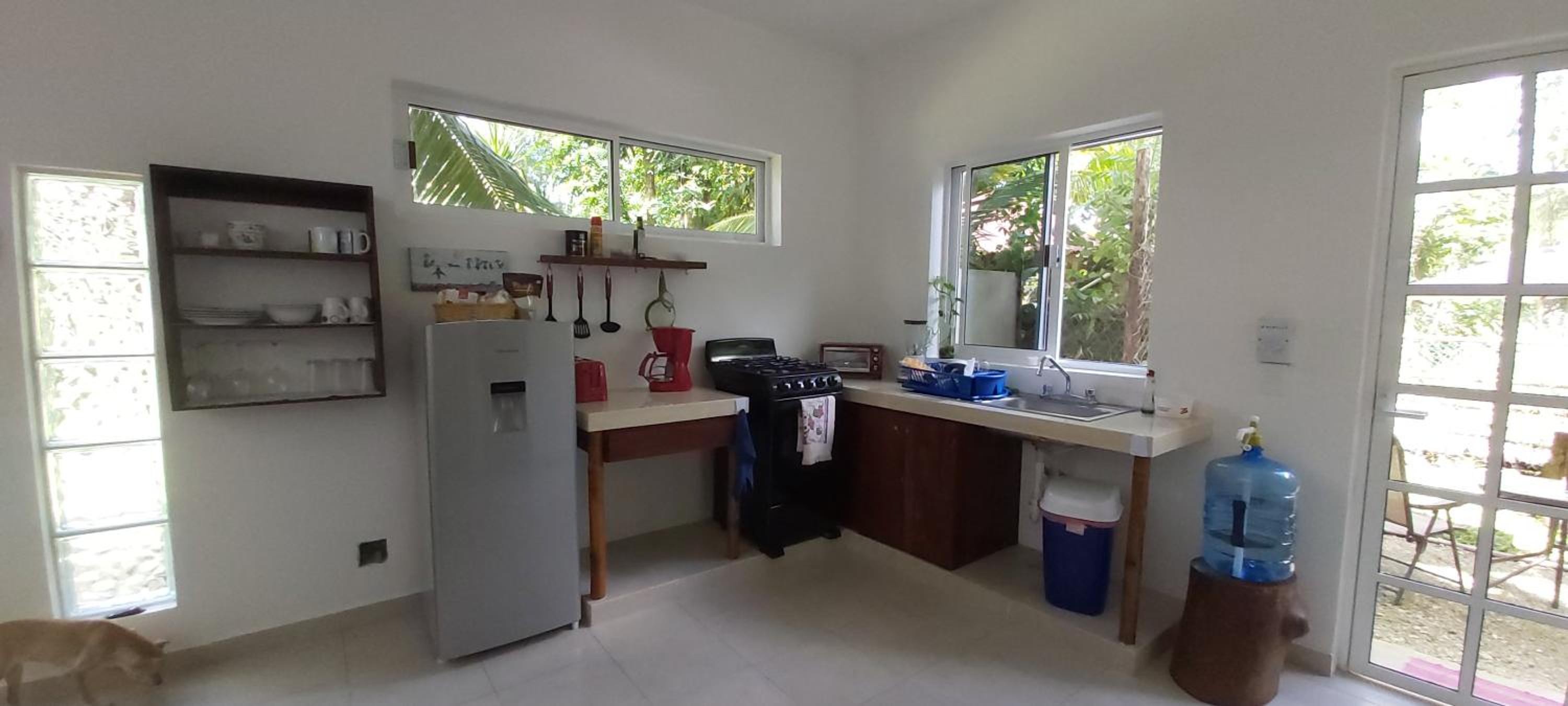 Photo 16