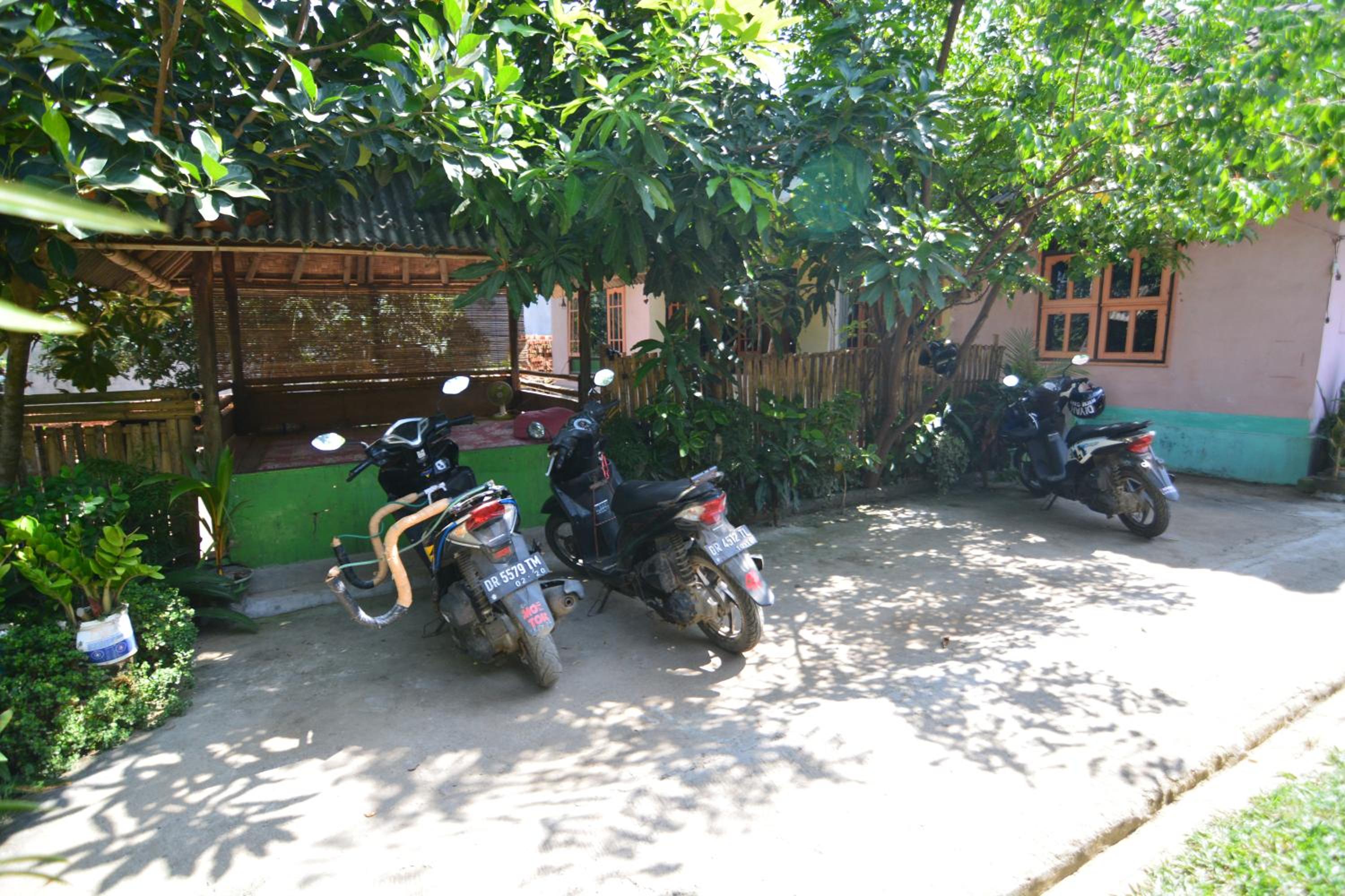 Photo 6