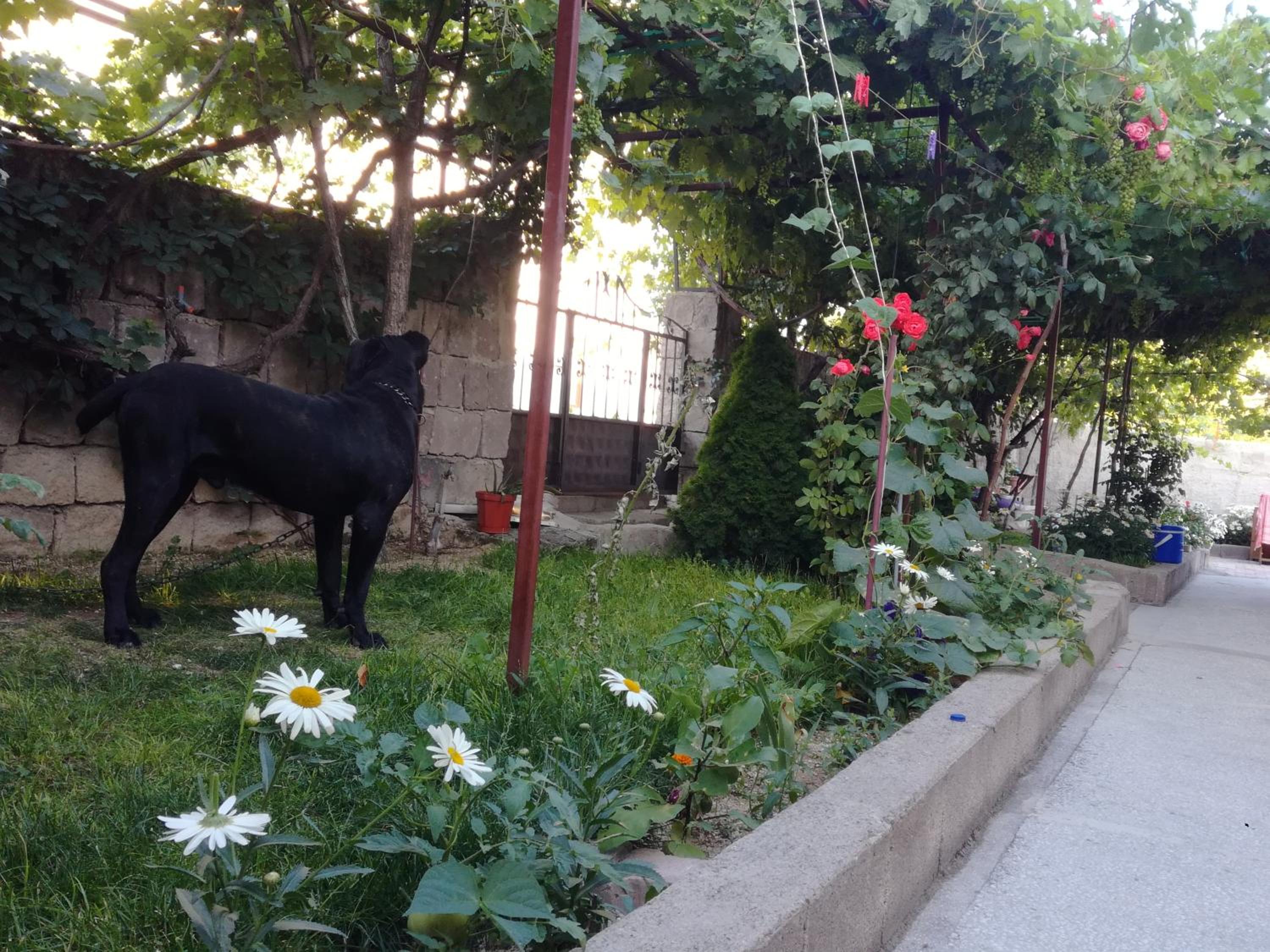 Photo 59