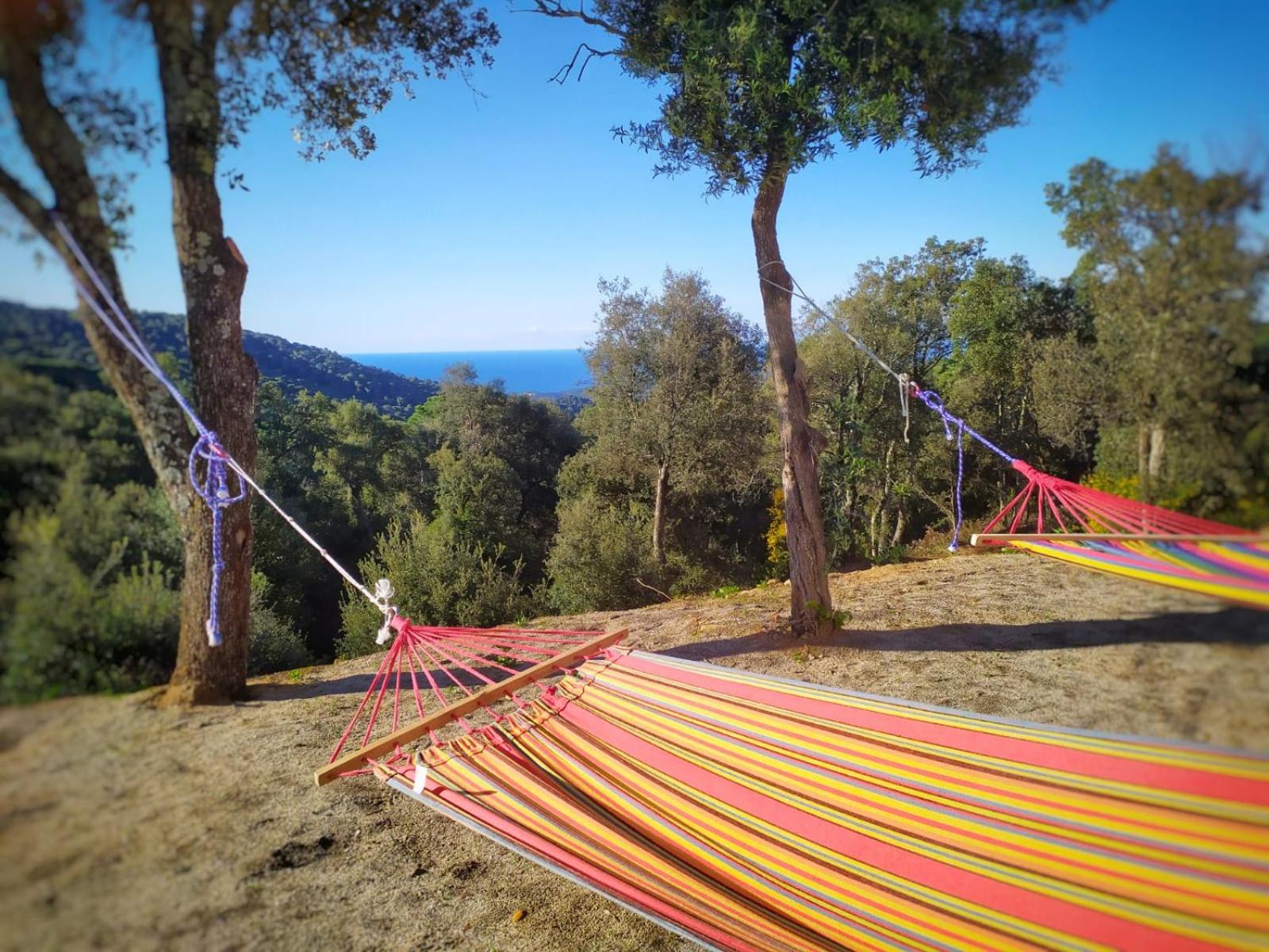 Masia Mediterranian Country House Ca l'Isidre Torrent