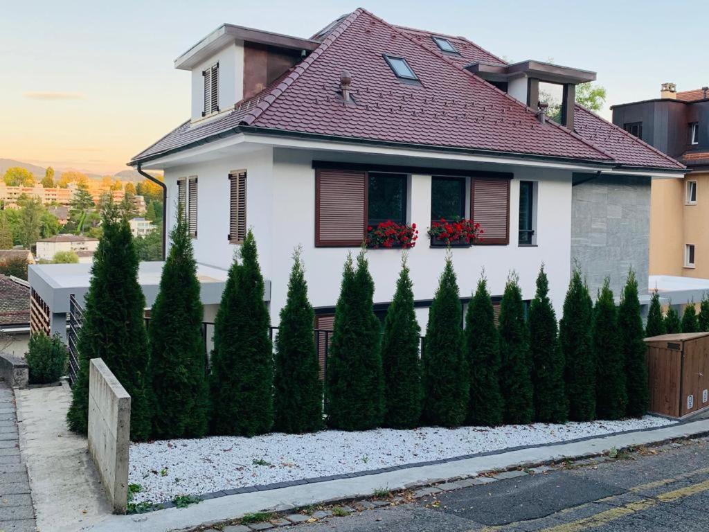 New Luxury Lake view Apartment - Lausanne view 2