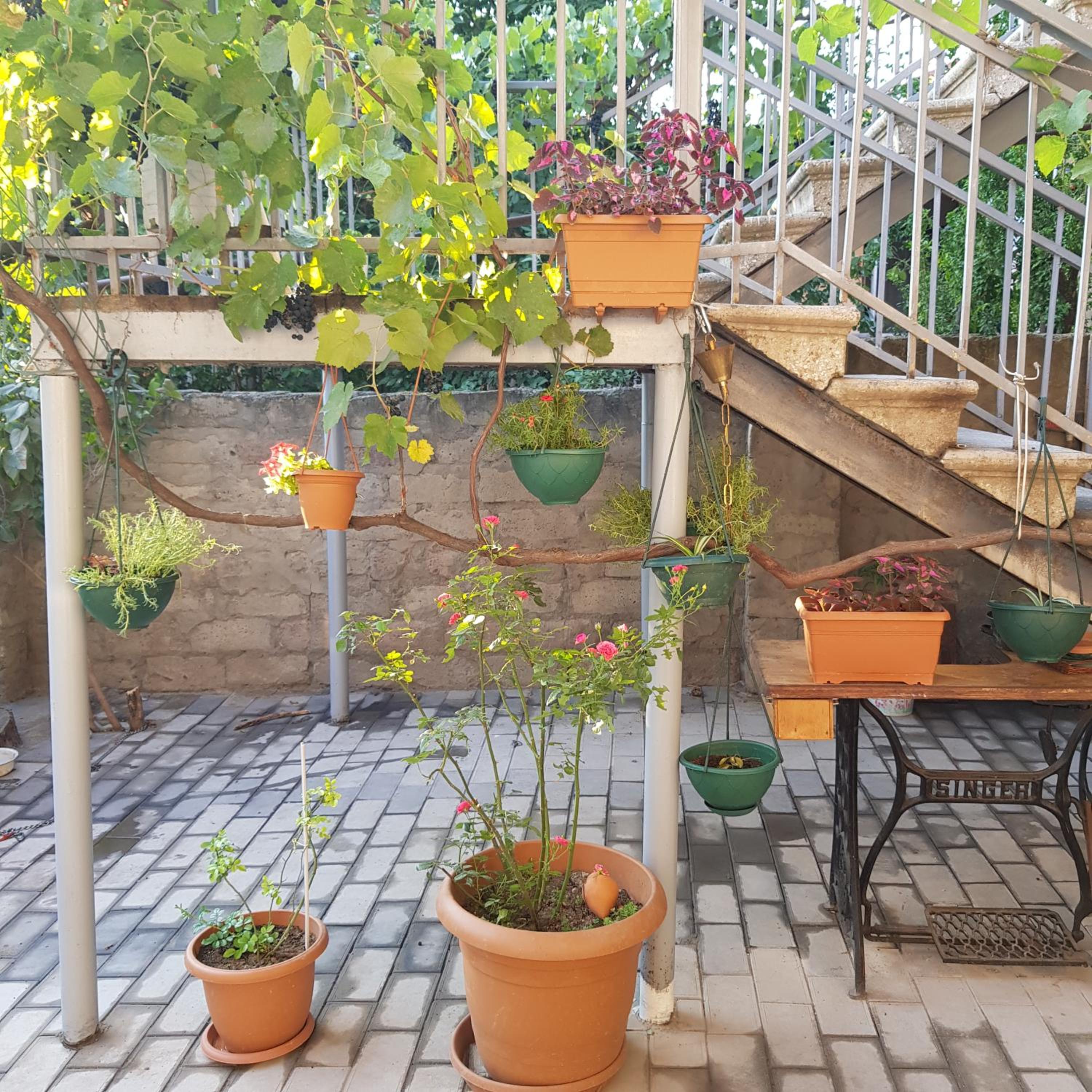 Photo 16