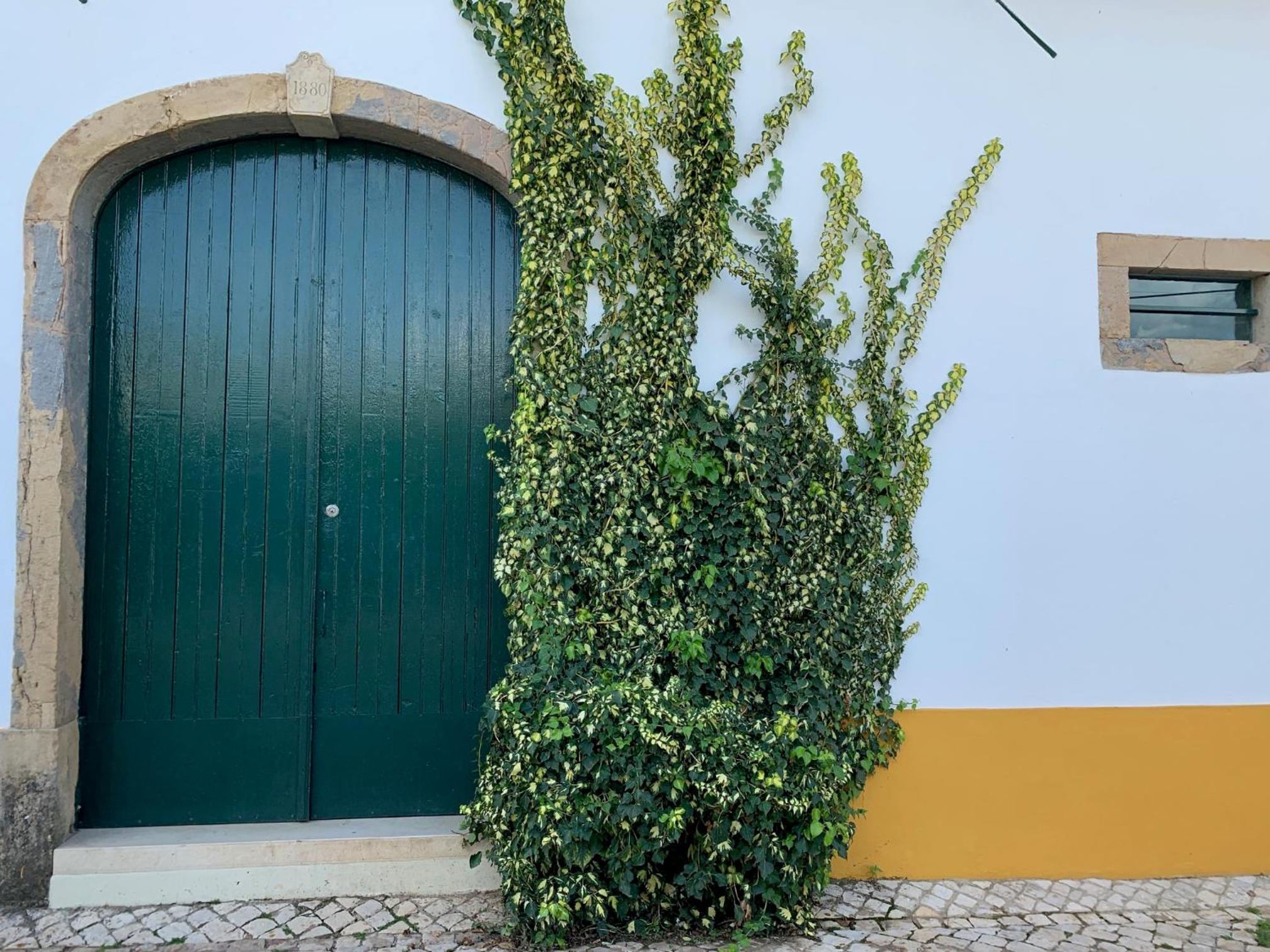 Quinta Ribeira do Labrador - Lisbon West Wine Route view 5