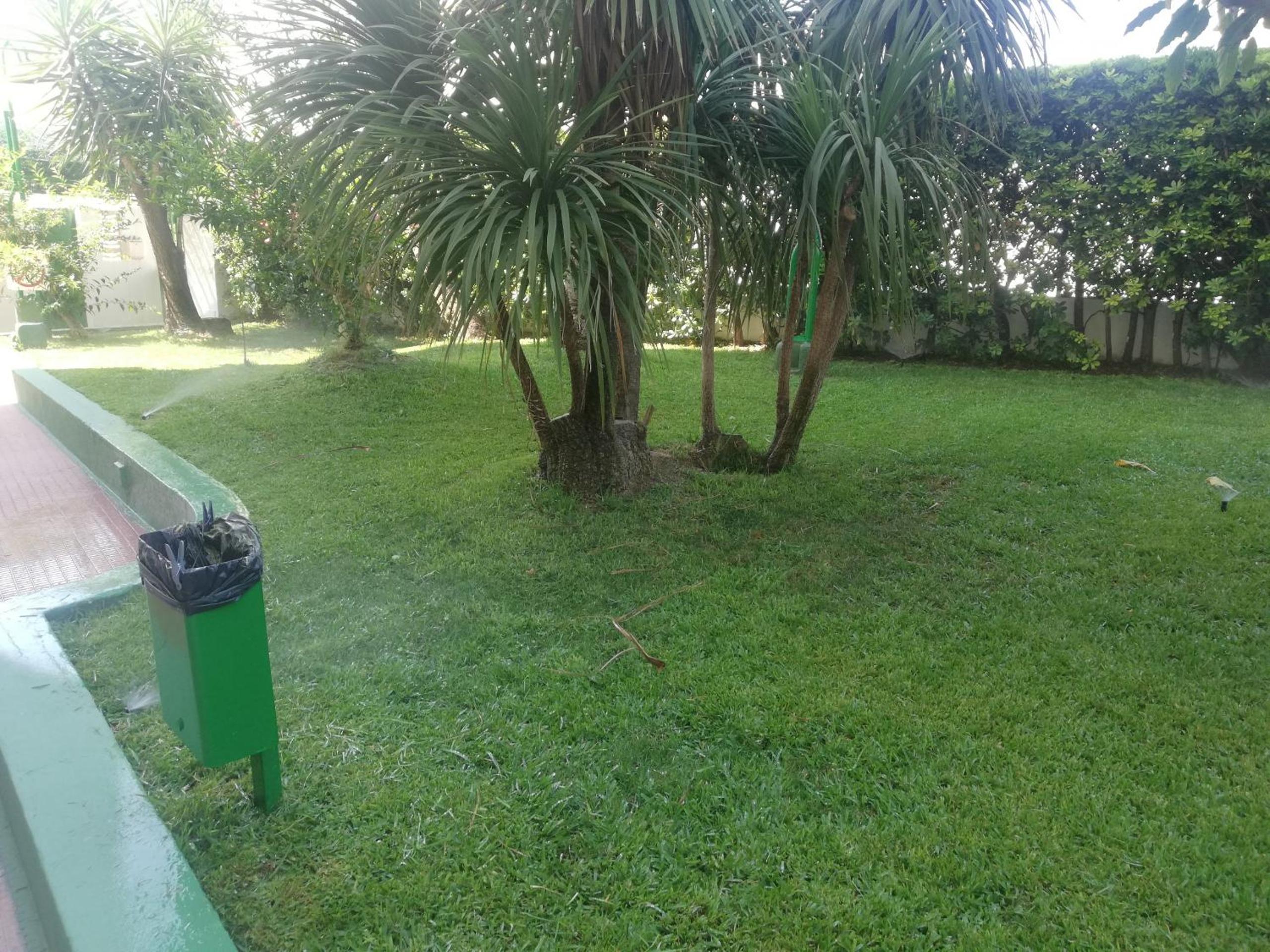 Photo 29