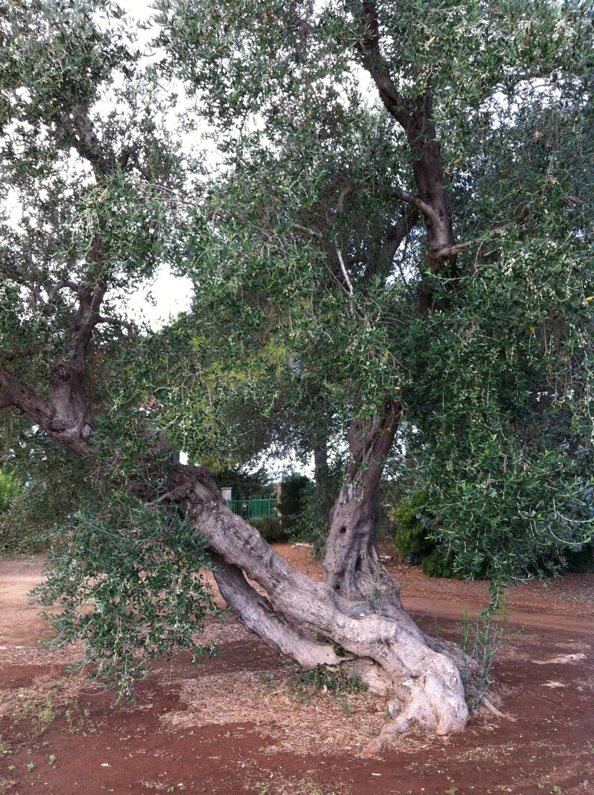 Agriturismo Mele