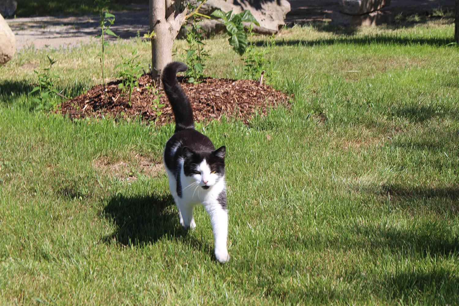 Photo 25