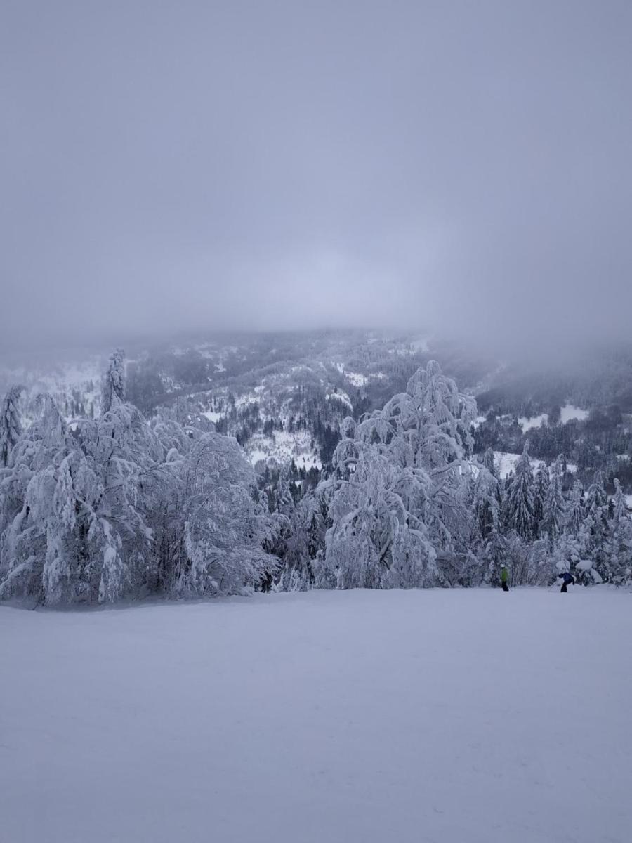 Photo 43