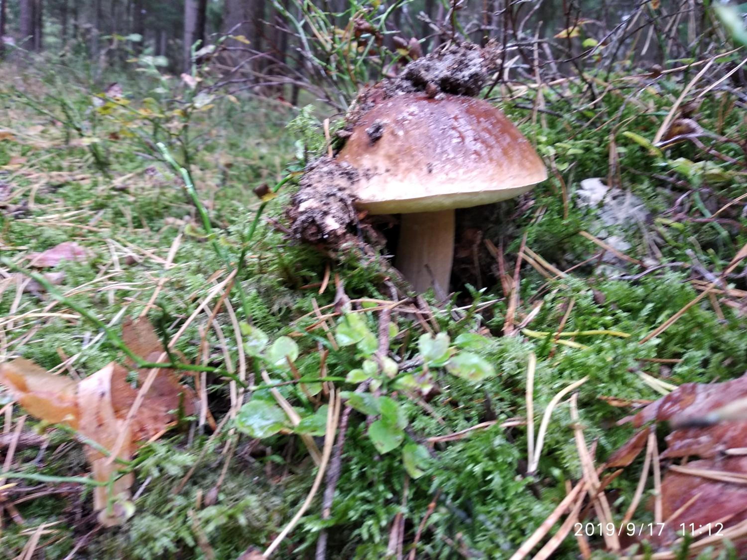 Photo 30