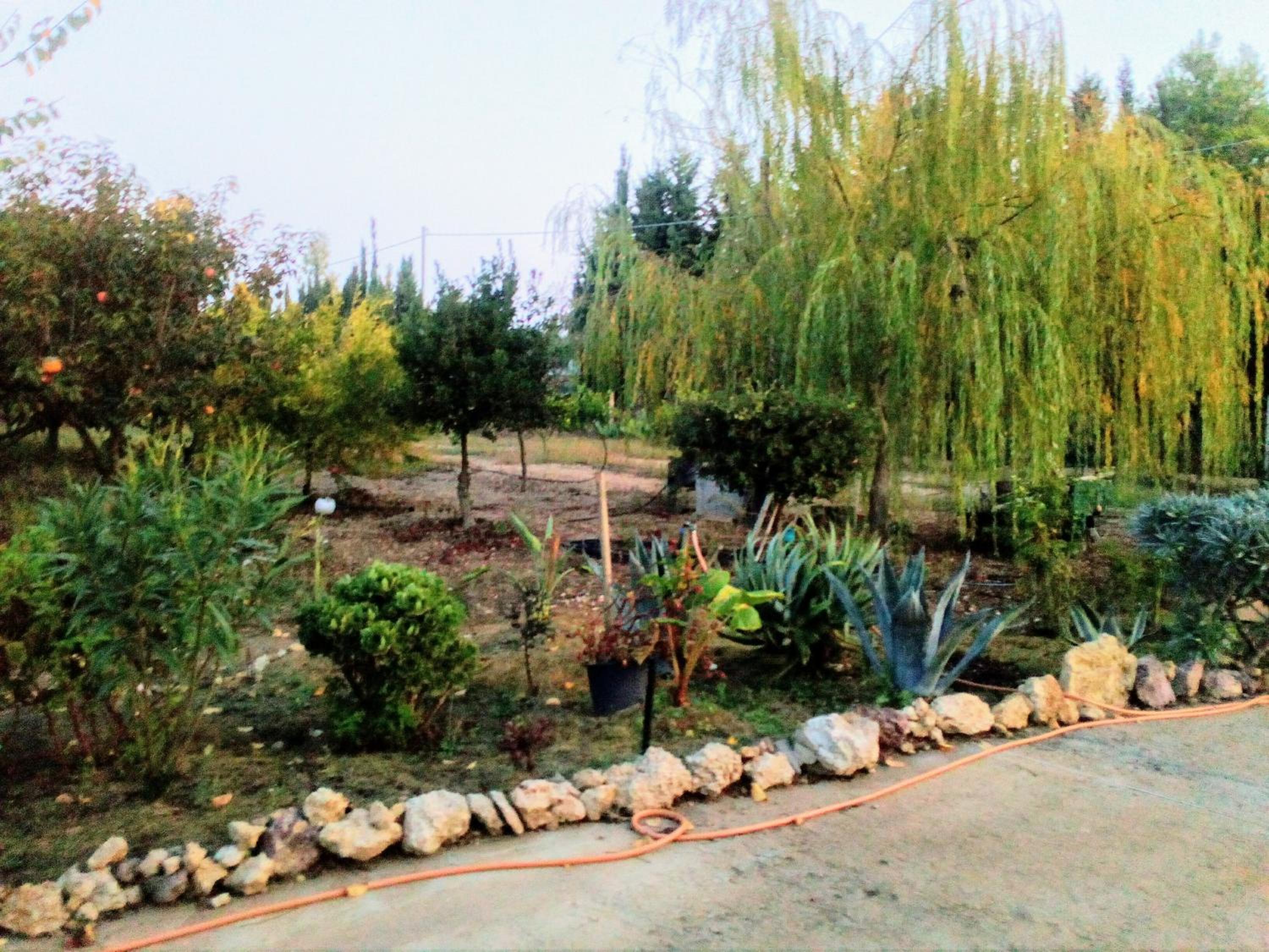 Photo 38