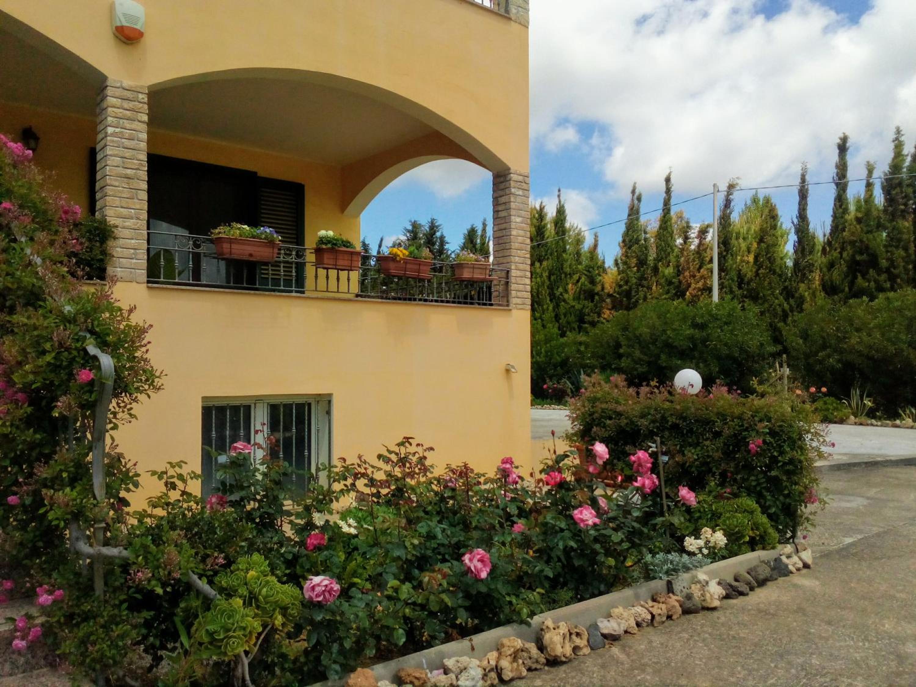 Photo 42