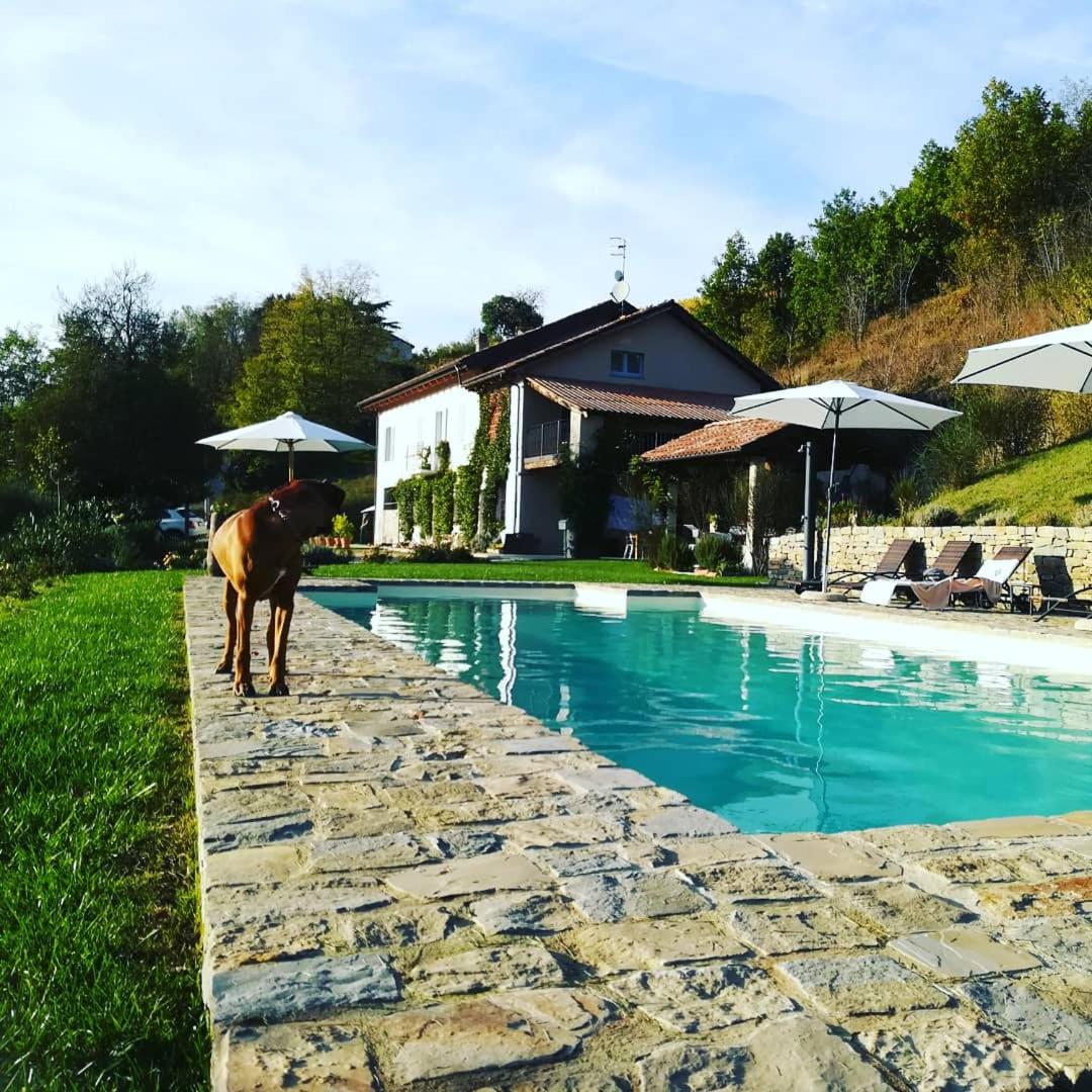 Ca del bosso photo 3