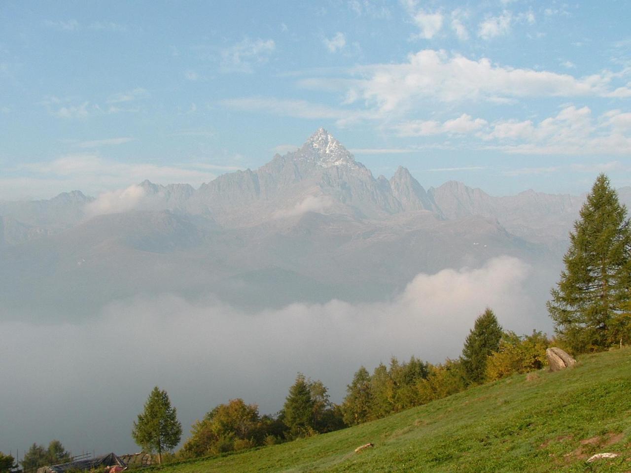Photo 47