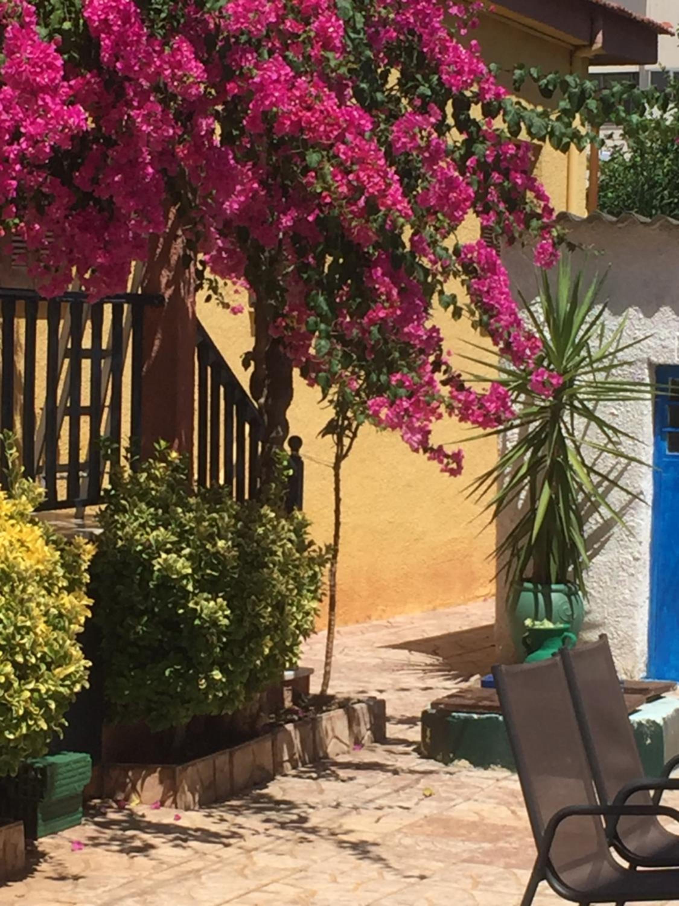Cosy guesthouse-souterrain with garden in city center view 3