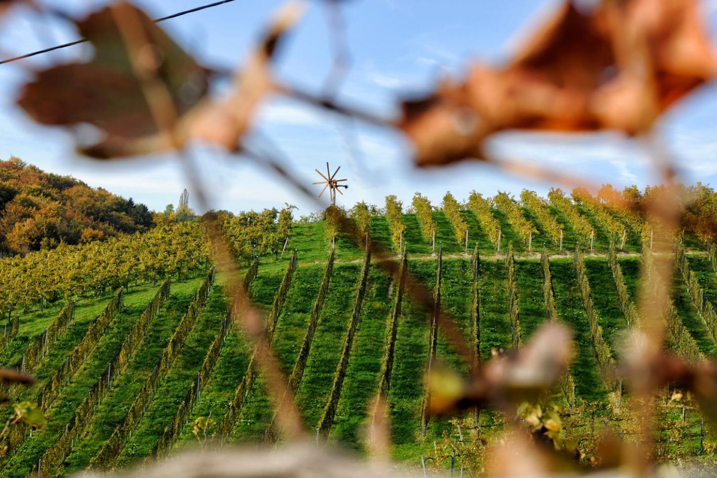 Weingut Zirngast