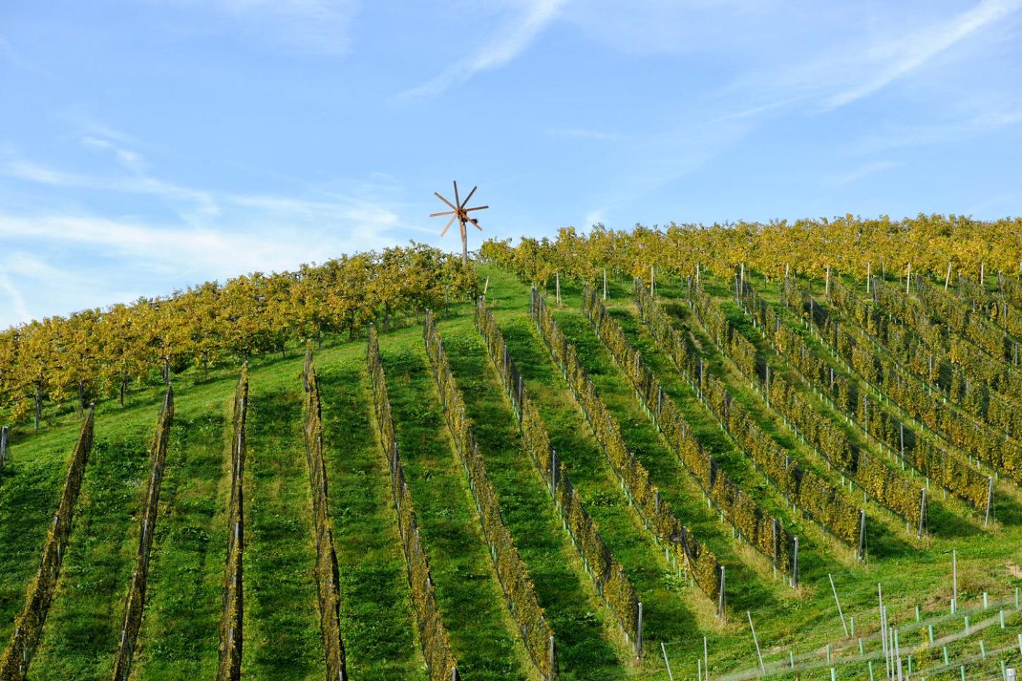 Weingut Zirngast