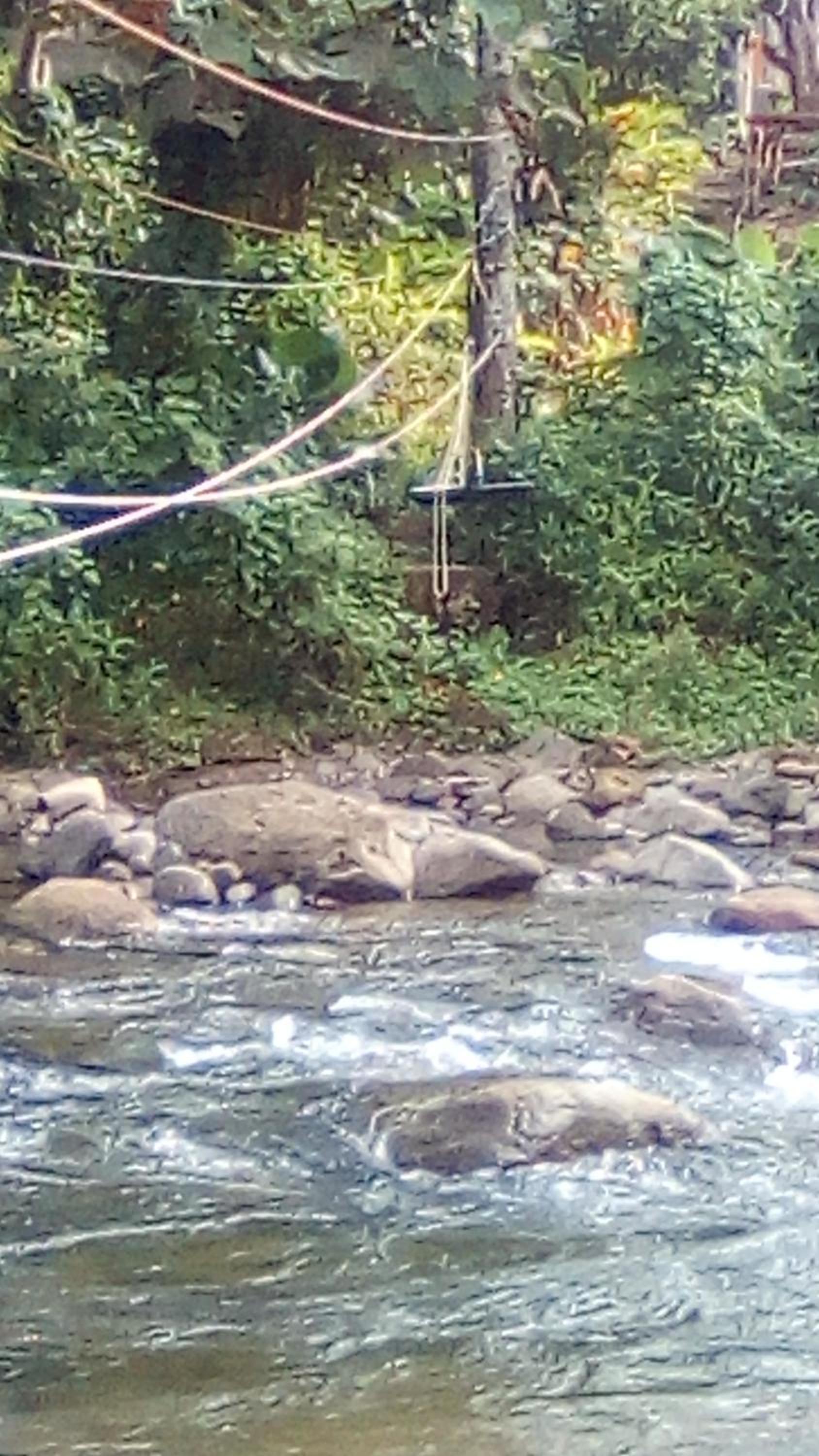 3 Rivers Eco Lodge