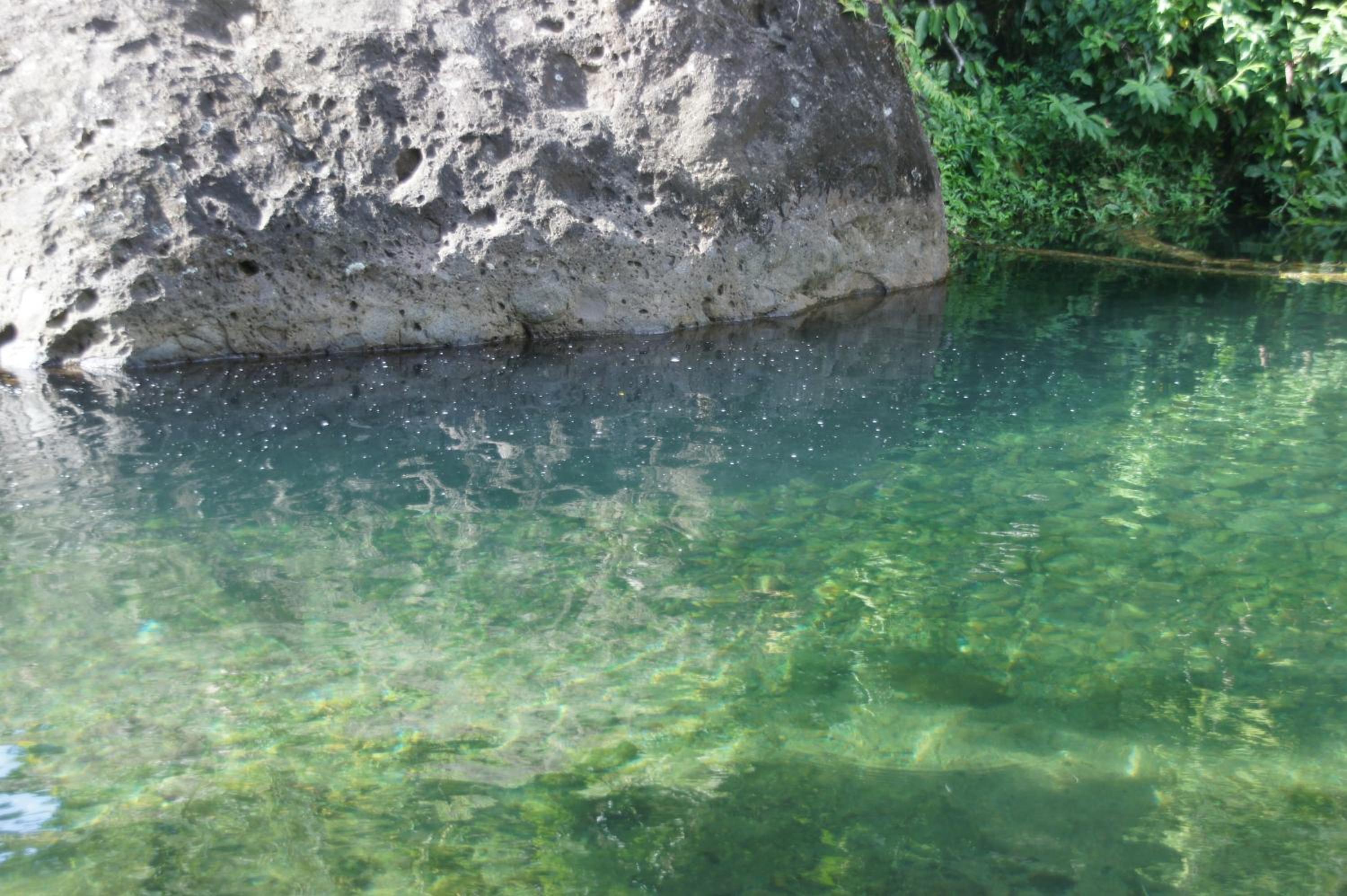 3 Rivers Eco Lodge