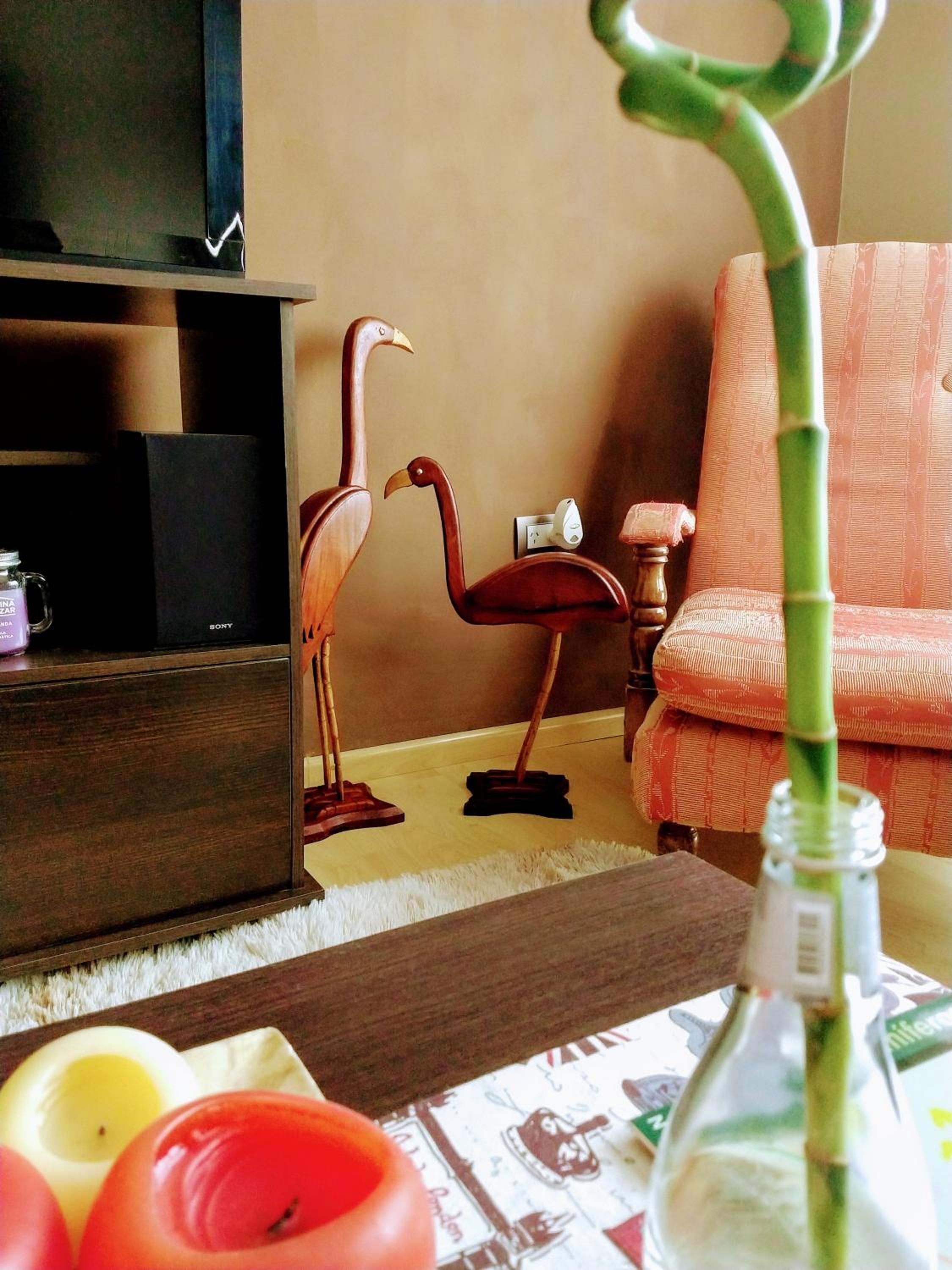 Casa En Gregores