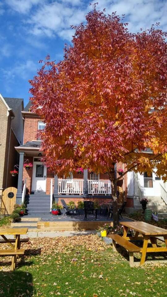 Village at York U