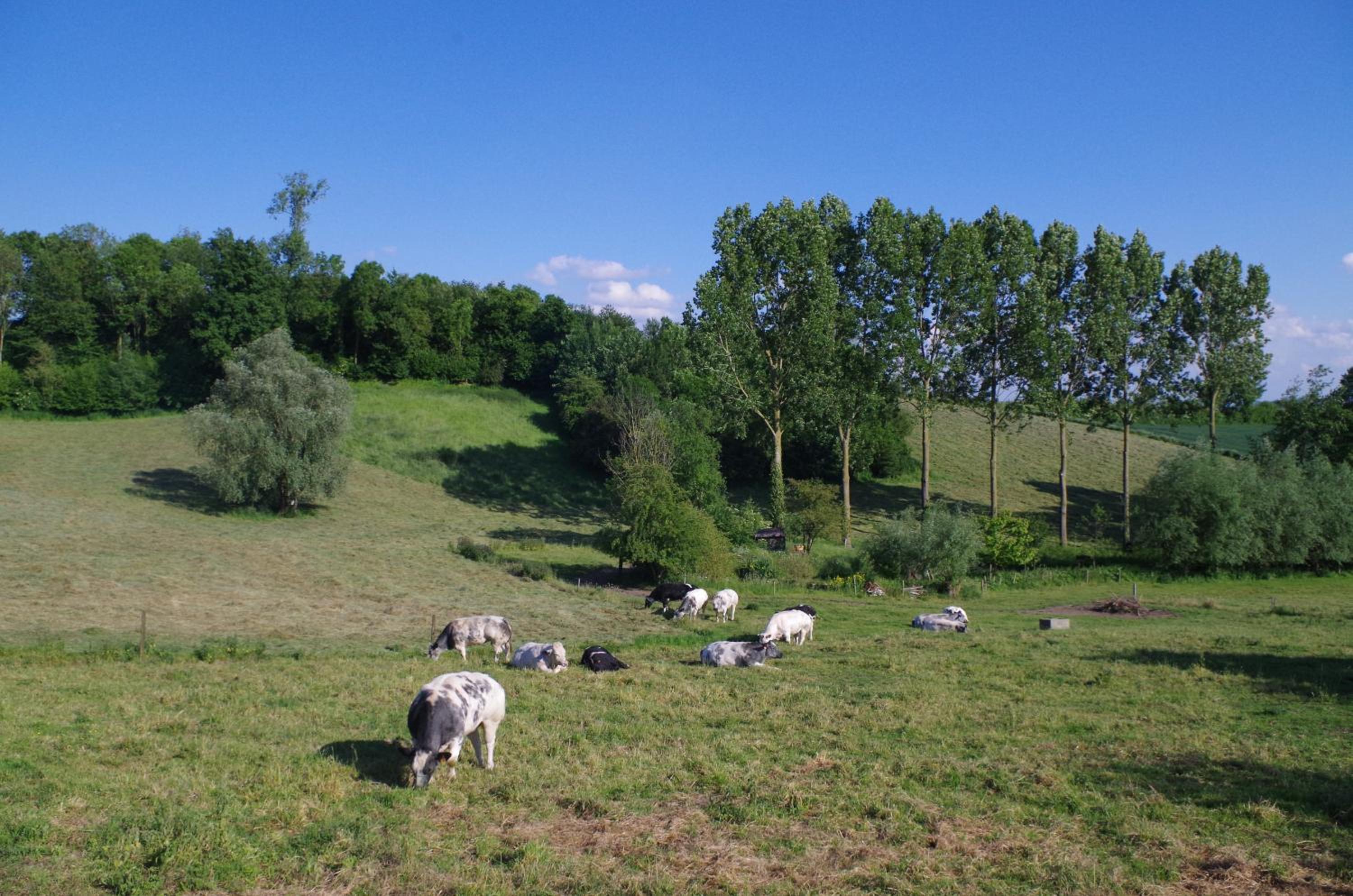 Eco-gîte Au Natur'Ailes des Collines