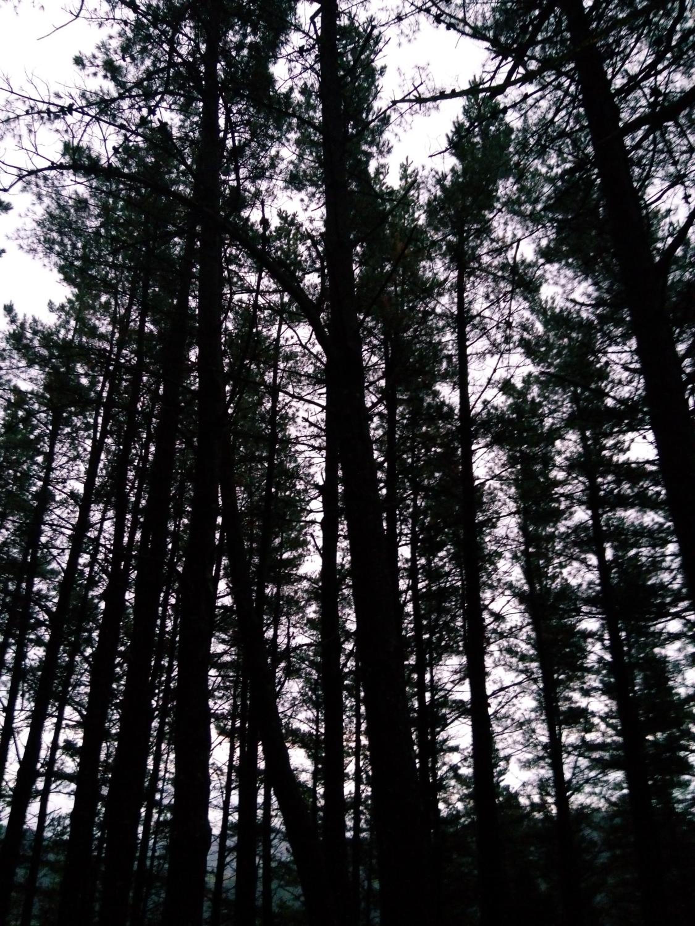 Monte Baserria