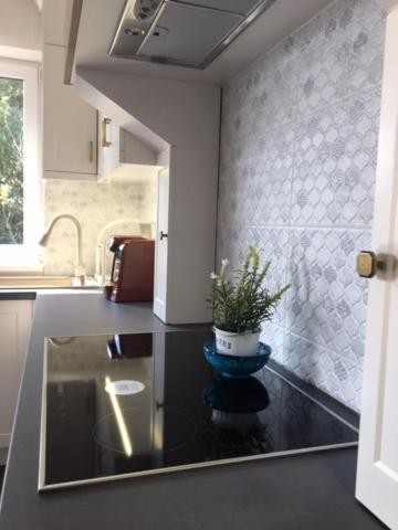 Thermal Forest Apartment view 4