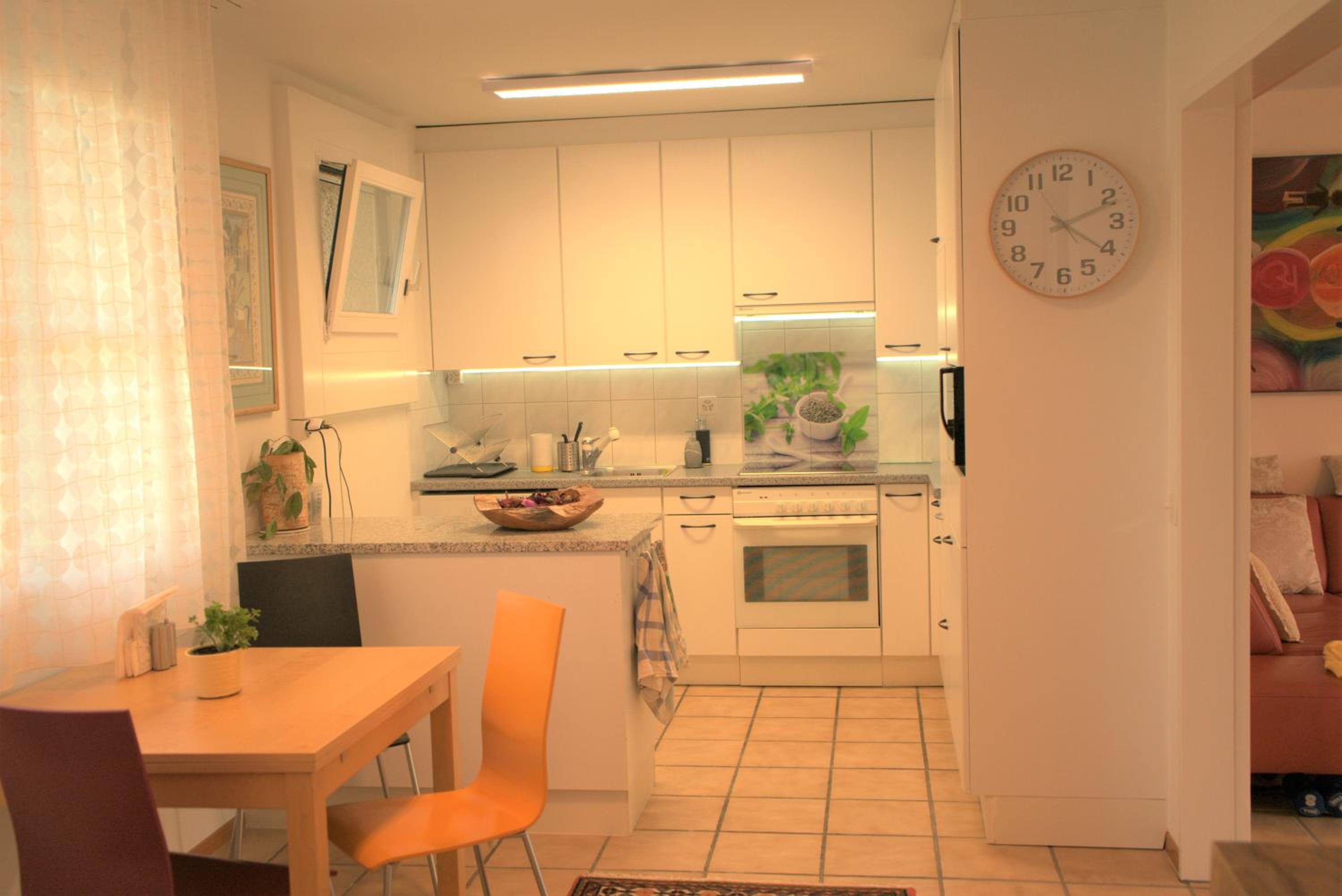 Modern, Cozy Large Apartment with Terrace in Basel- Allschwil