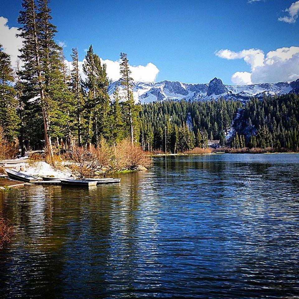 Photo 32