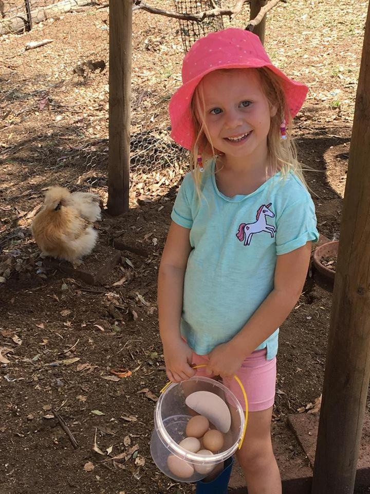 Glenview Alpaca Farm