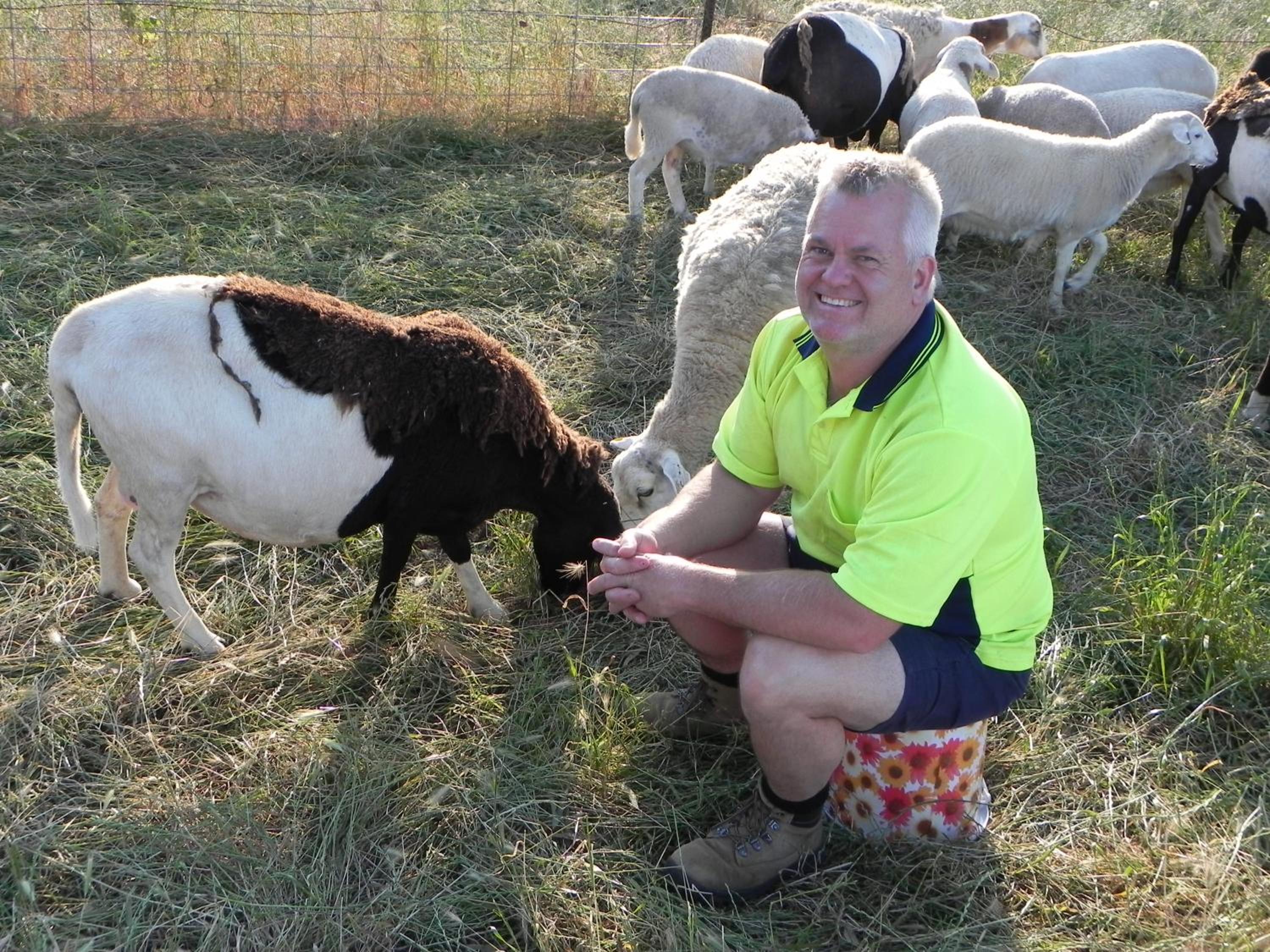 Glenview Alpaca Farm