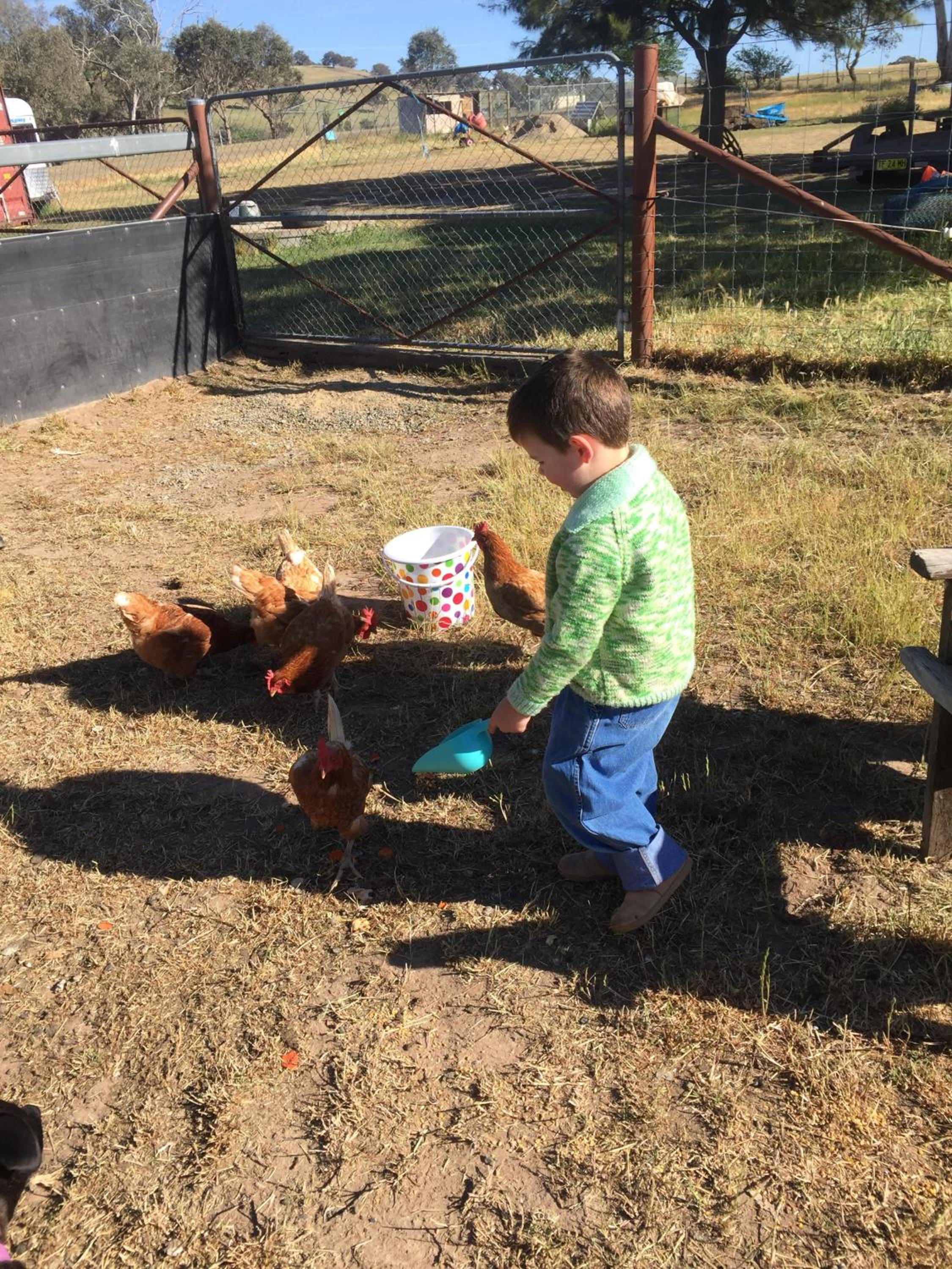 Glenview Alpaca Farm