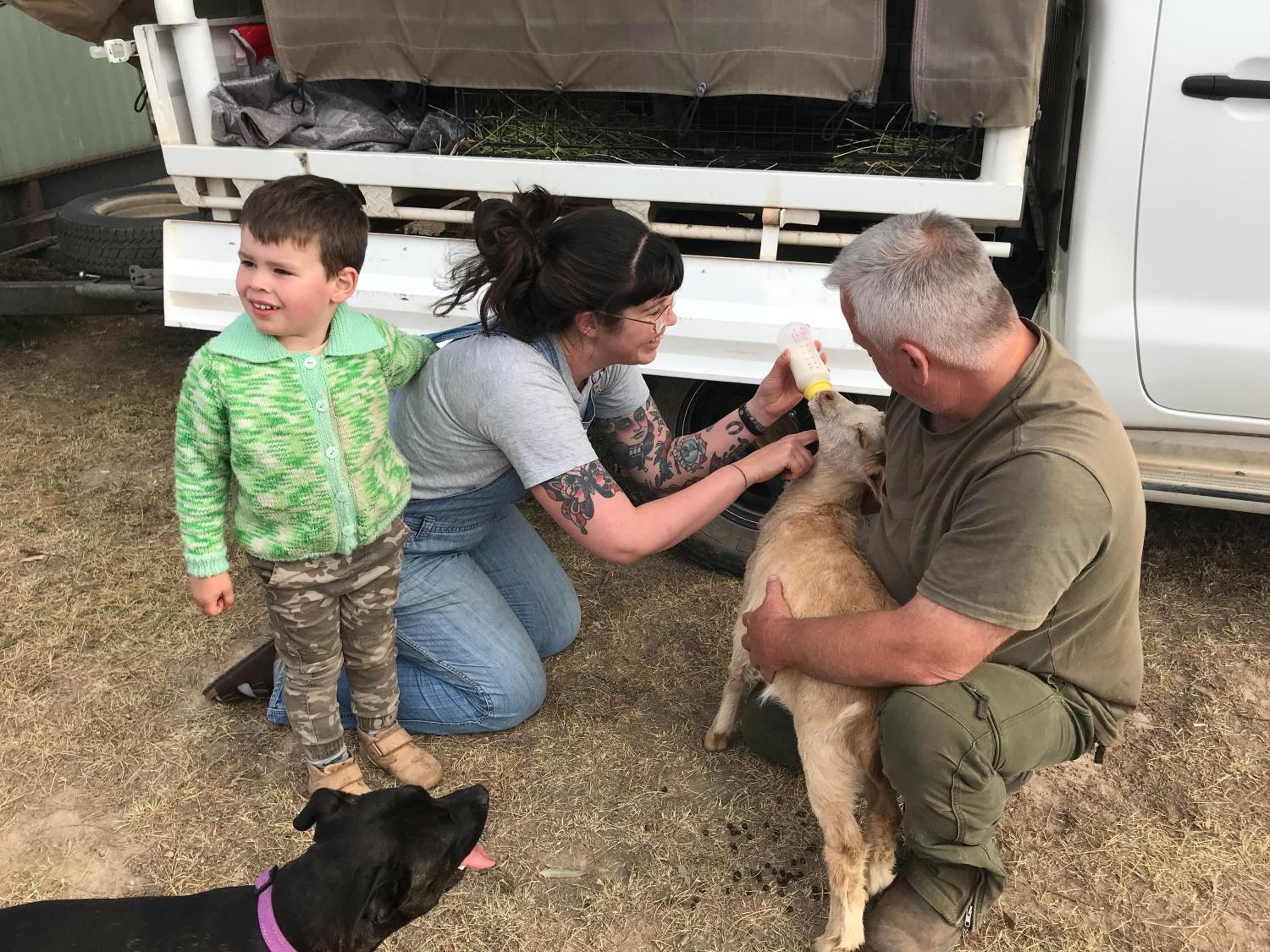 Glenview Alpaca Farm