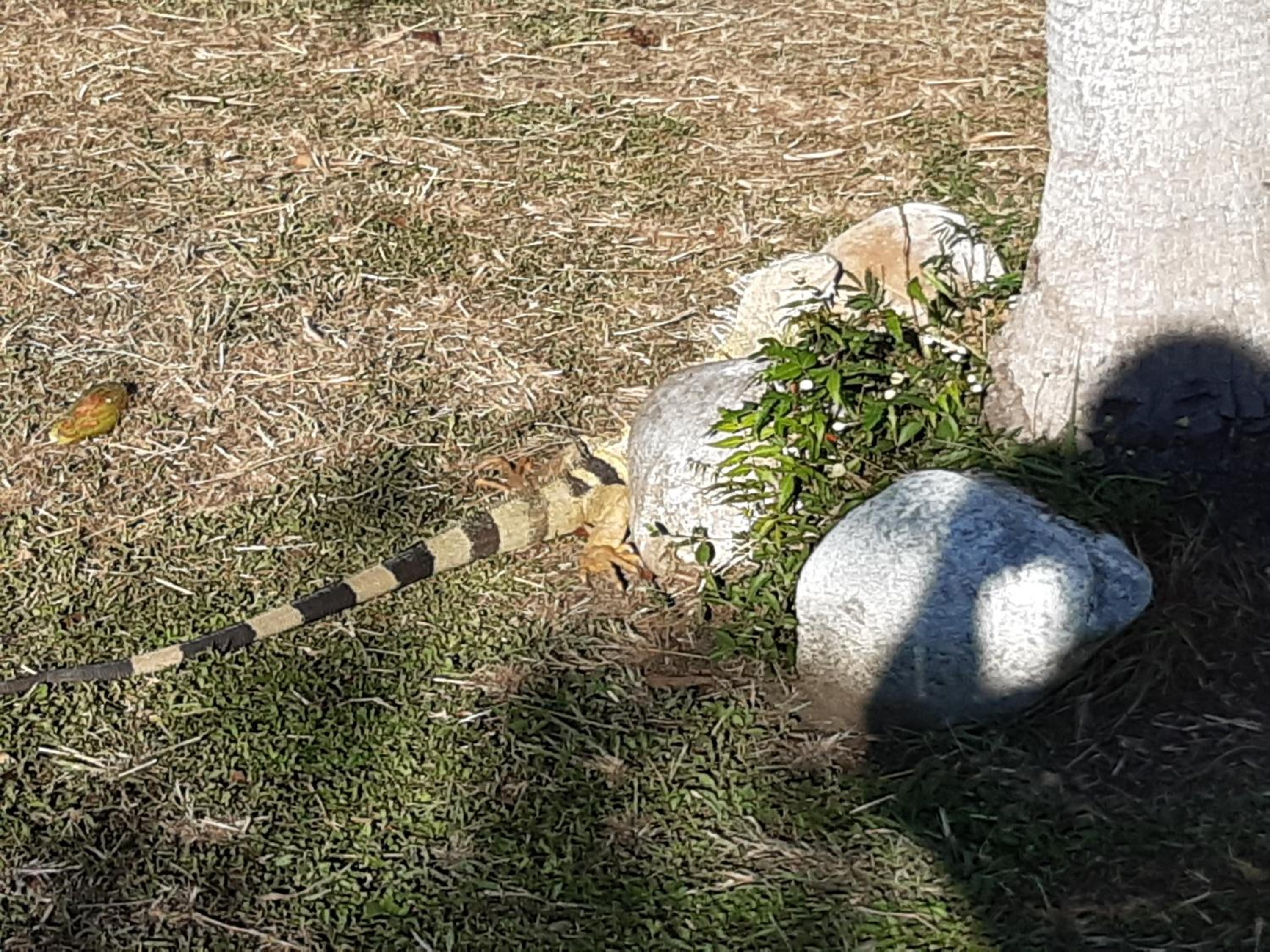 Photo 26