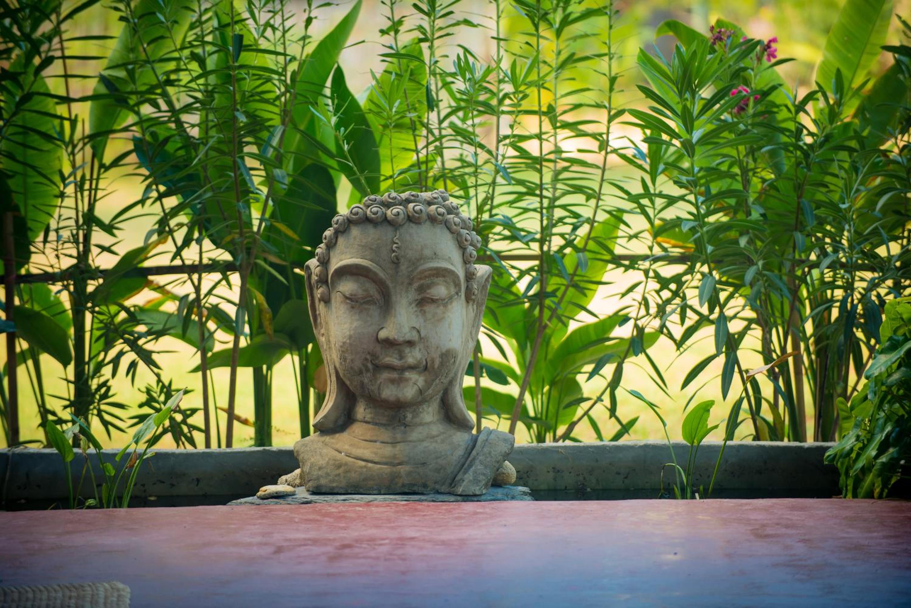 Oasis Yoga Bungalows
