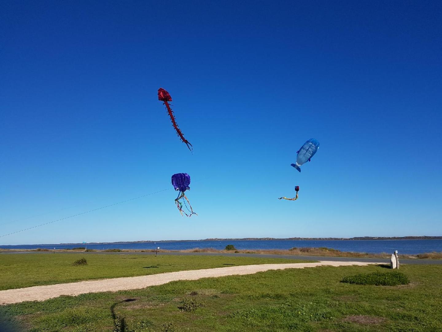 Coorong Cabins