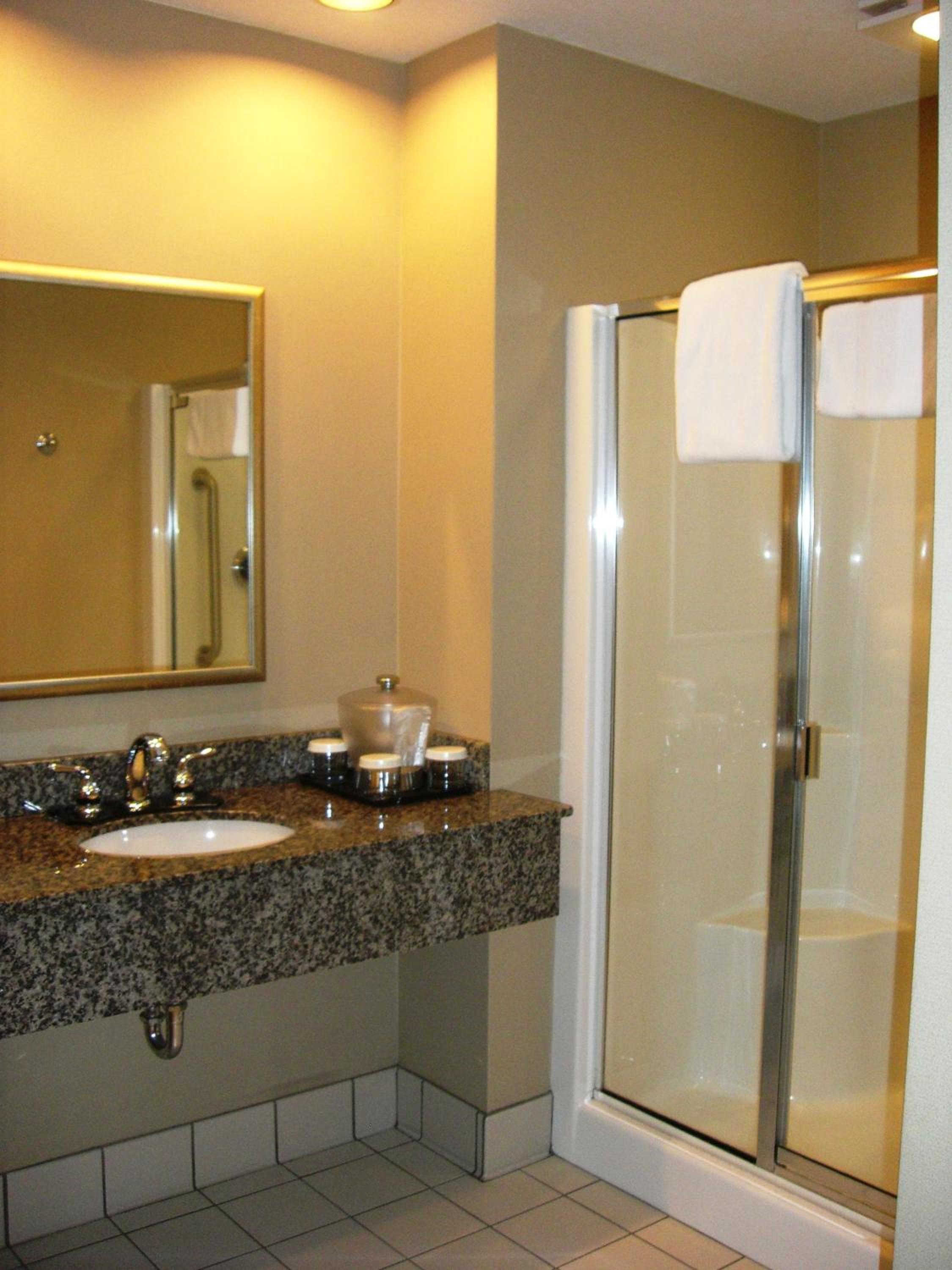 Holiday Inn St. Paul Northeast - Lake Elmo, an IHG Hotel - Property Image 64