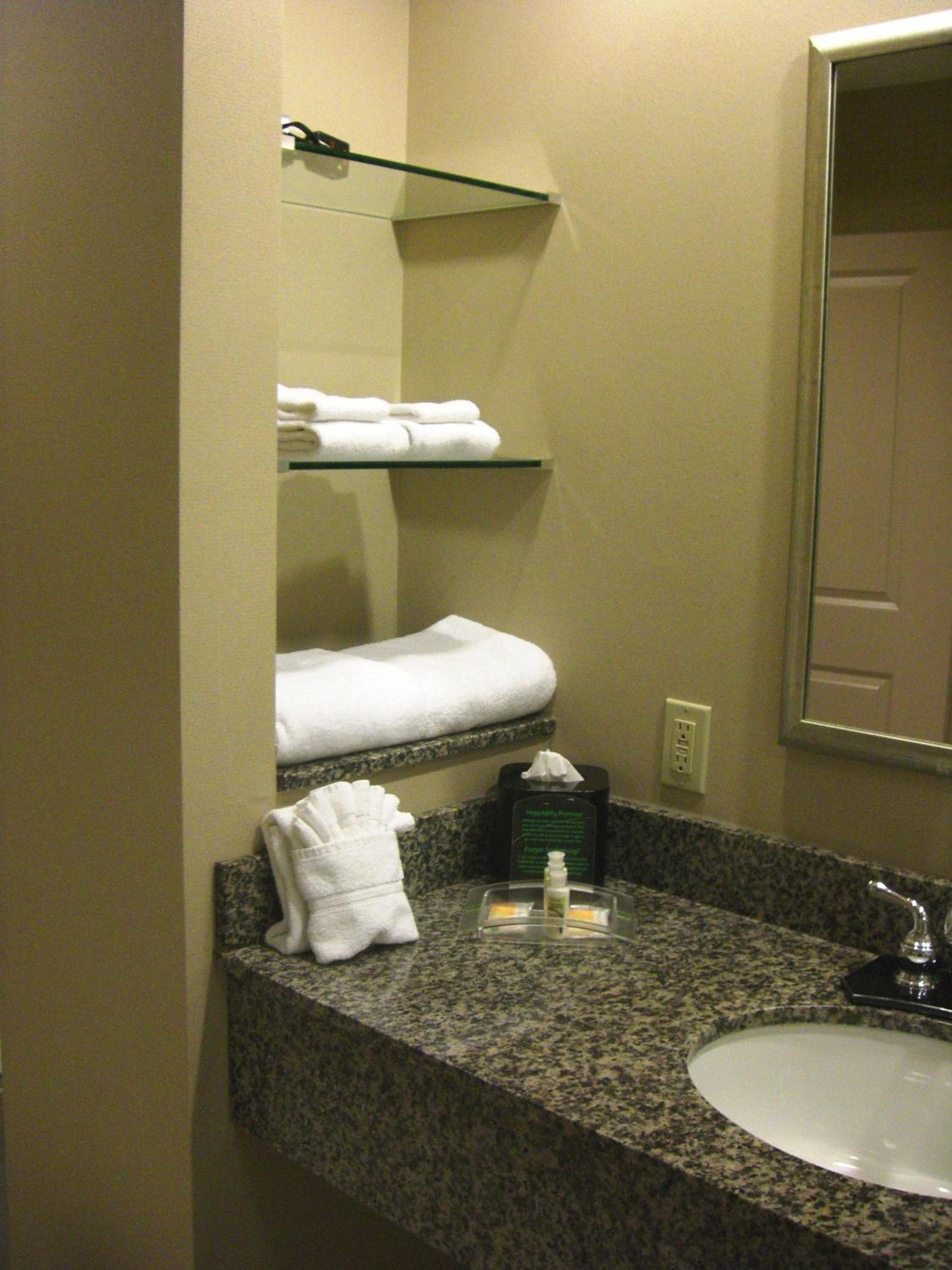 Holiday Inn St. Paul Northeast - Lake Elmo, an IHG Hotel - Property Image 58