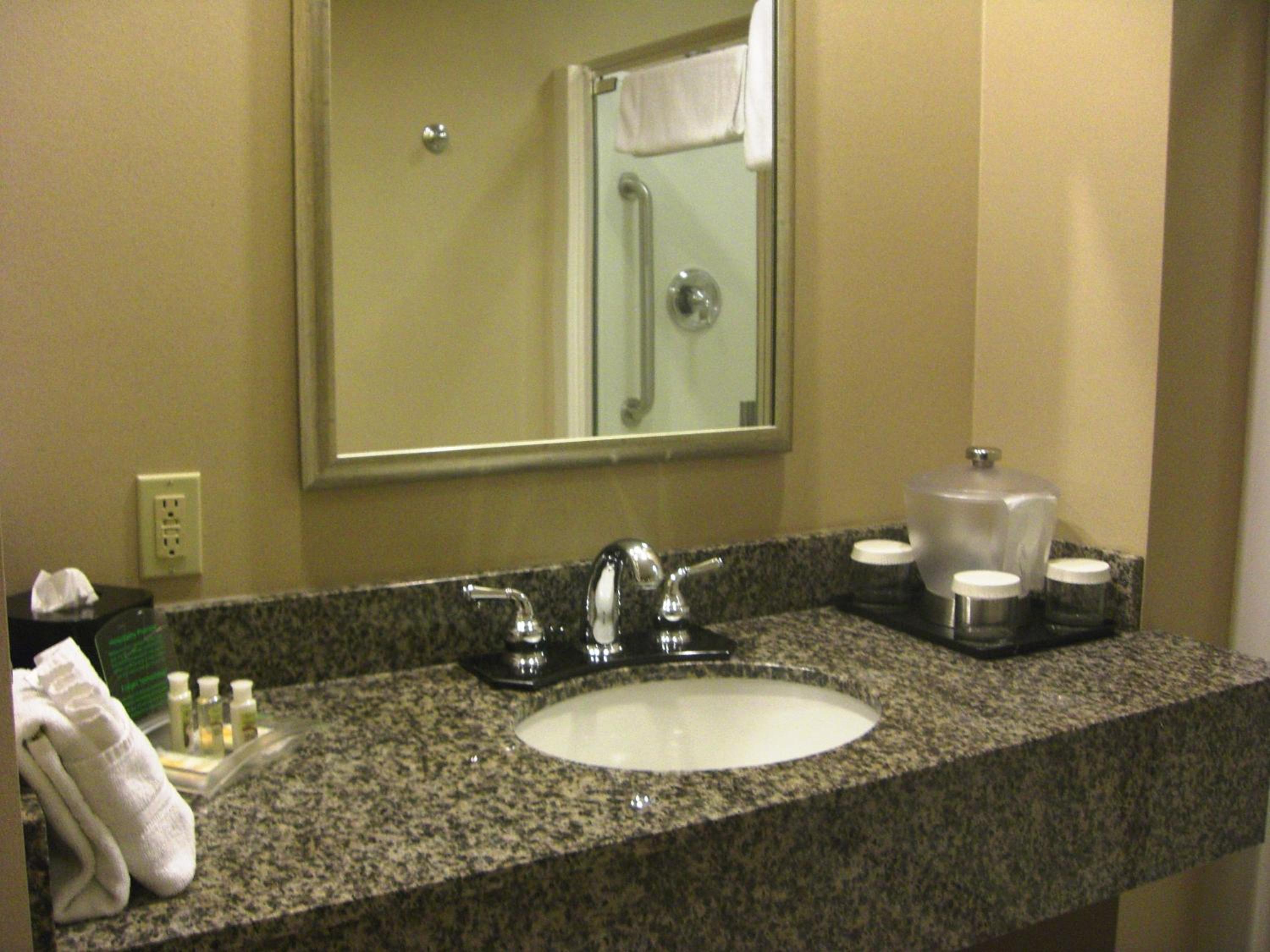 Holiday Inn St. Paul Northeast - Lake Elmo, an IHG Hotel - Property Image 63