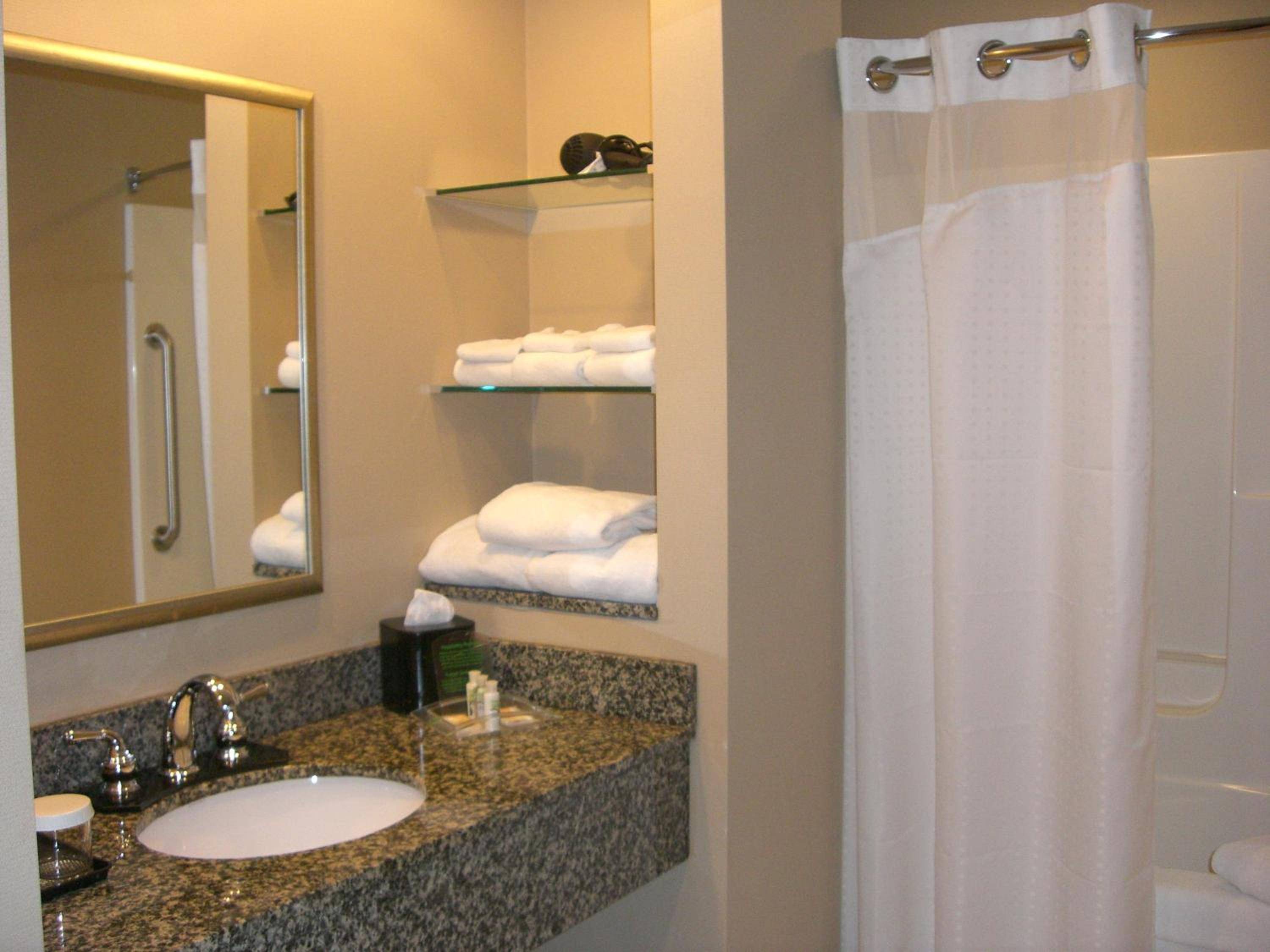 Minneapolis / St Paul Vacations - Holiday Inn St. Paul Northeast - Lake Elmo, an IHG Hotel - Property Image 4