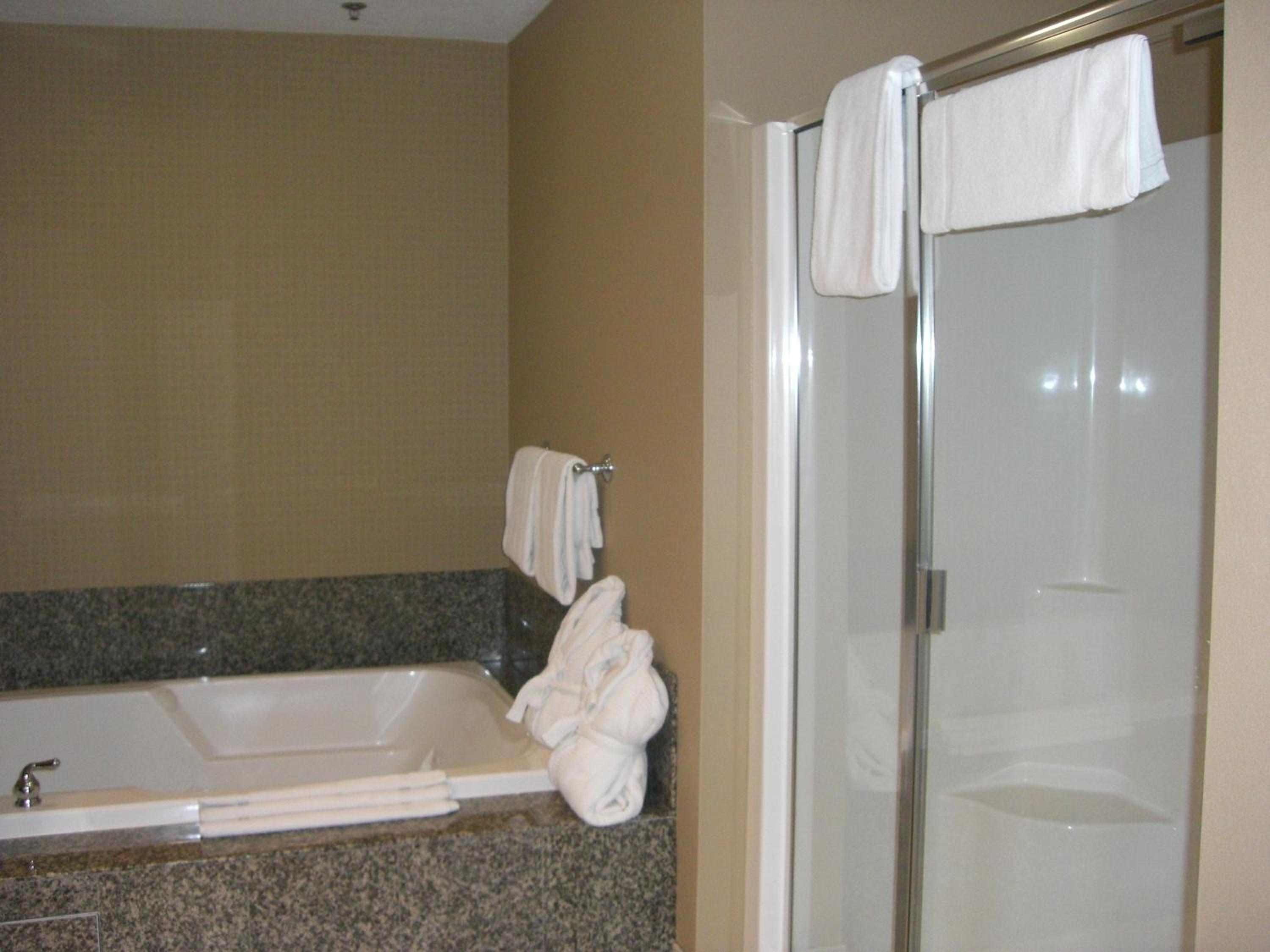 Holiday Inn St. Paul Northeast - Lake Elmo, an IHG Hotel - Property Image 61