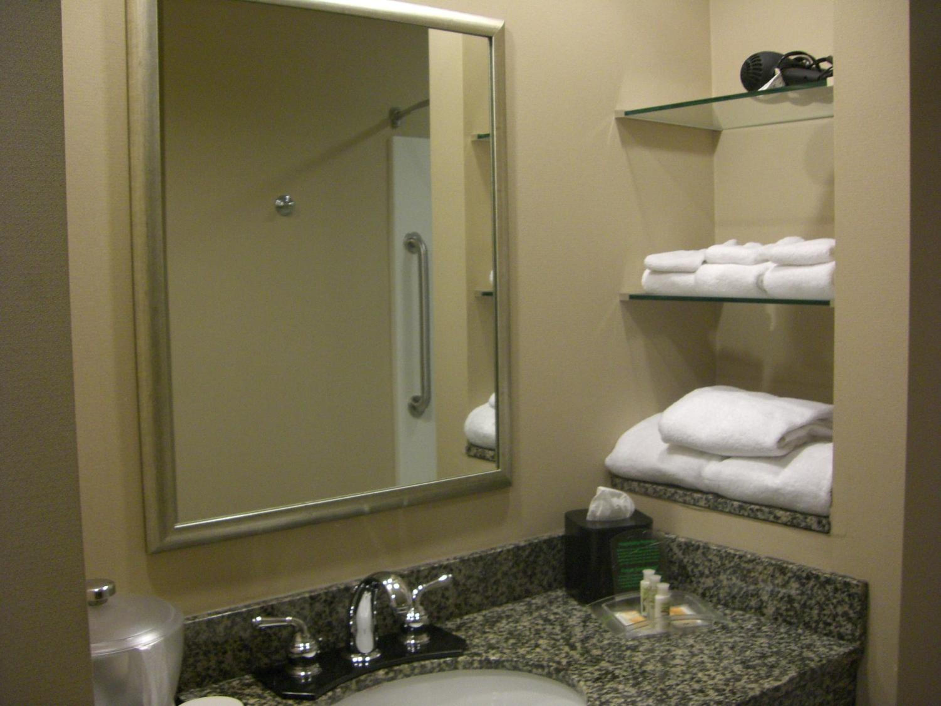 Holiday Inn St. Paul Northeast - Lake Elmo, an IHG Hotel - Property Image 60