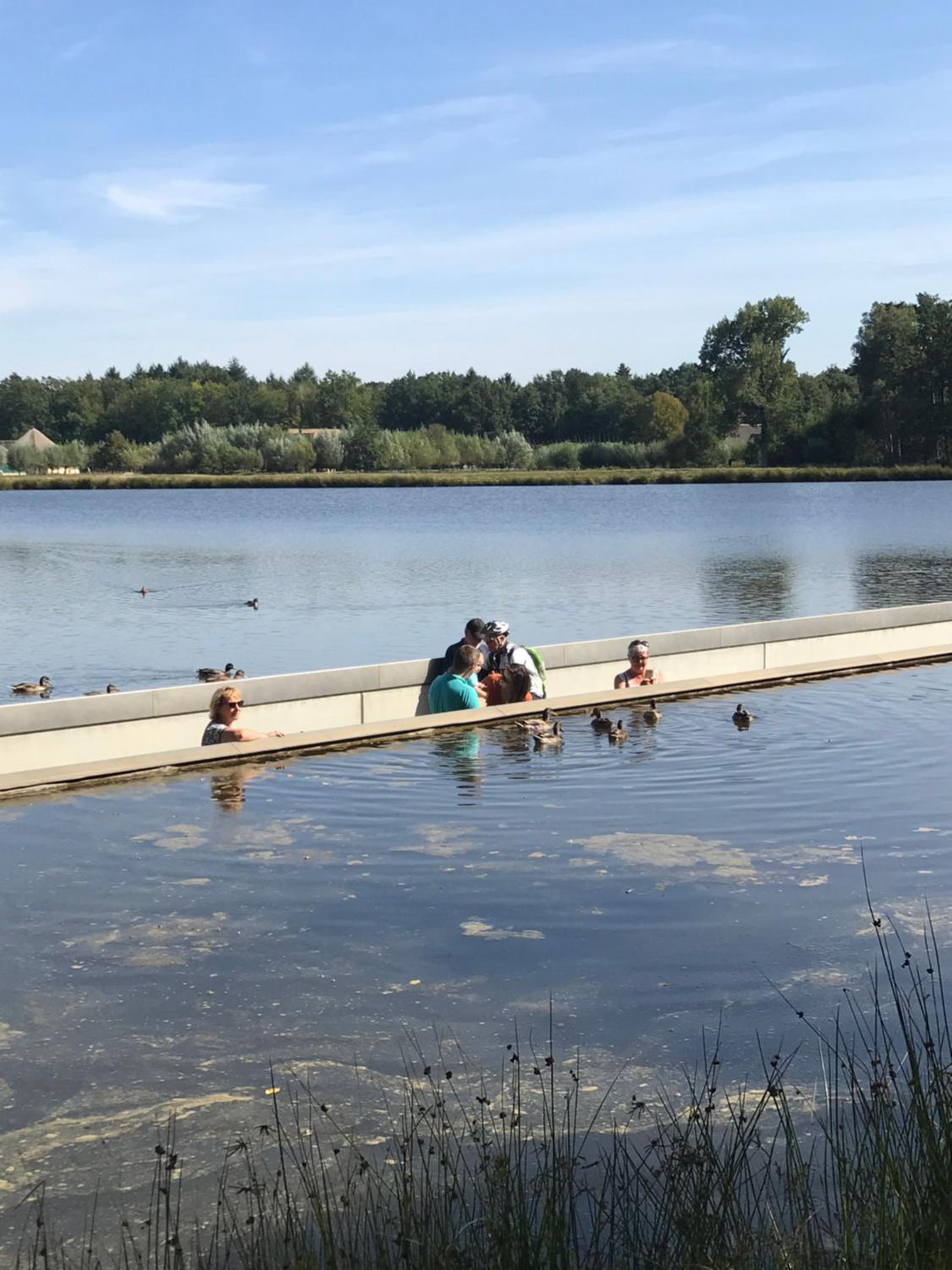 Vakantiewoning ‘t Reigersnest