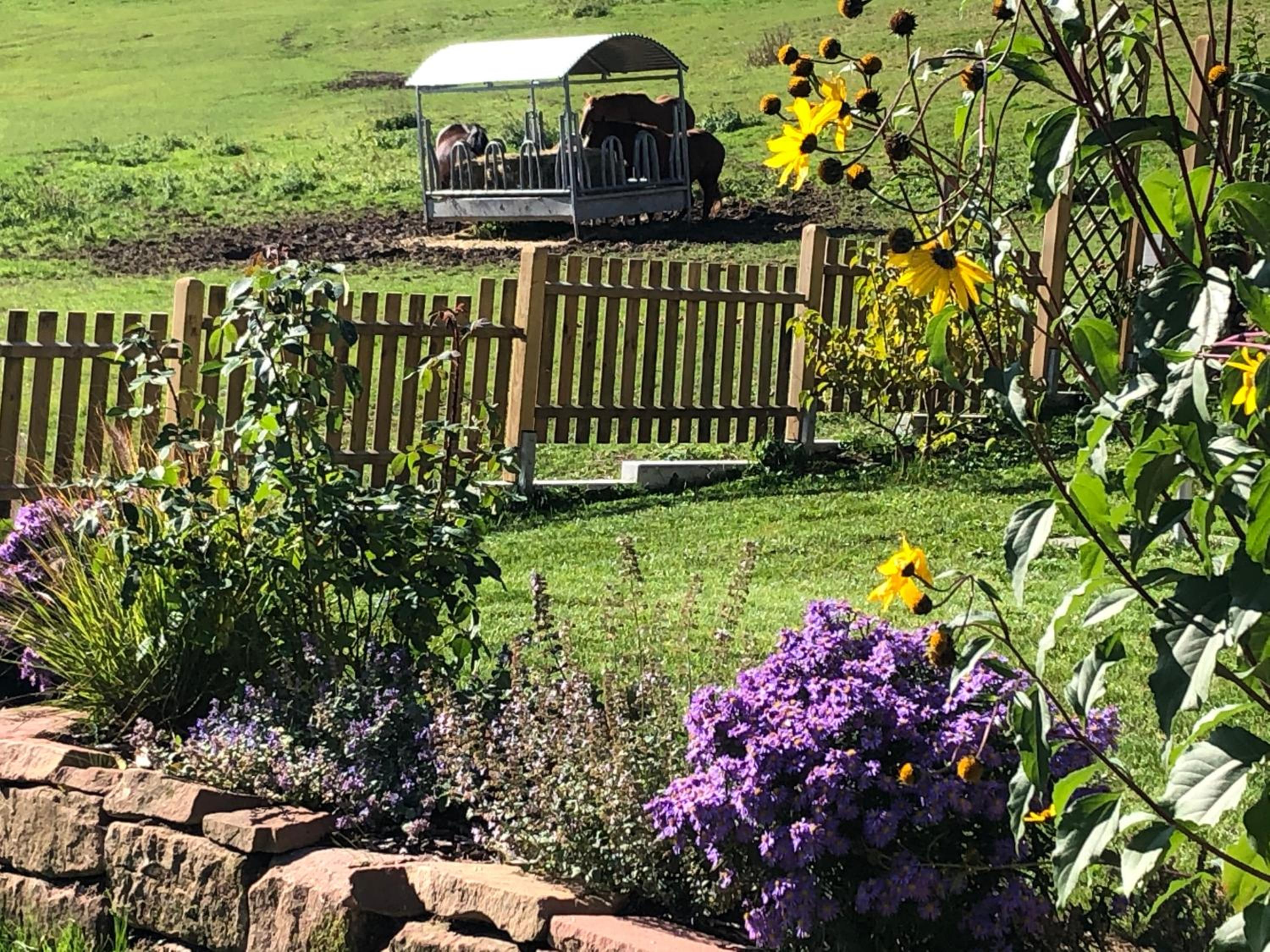 Ferienwohnungen Zerbe view 5