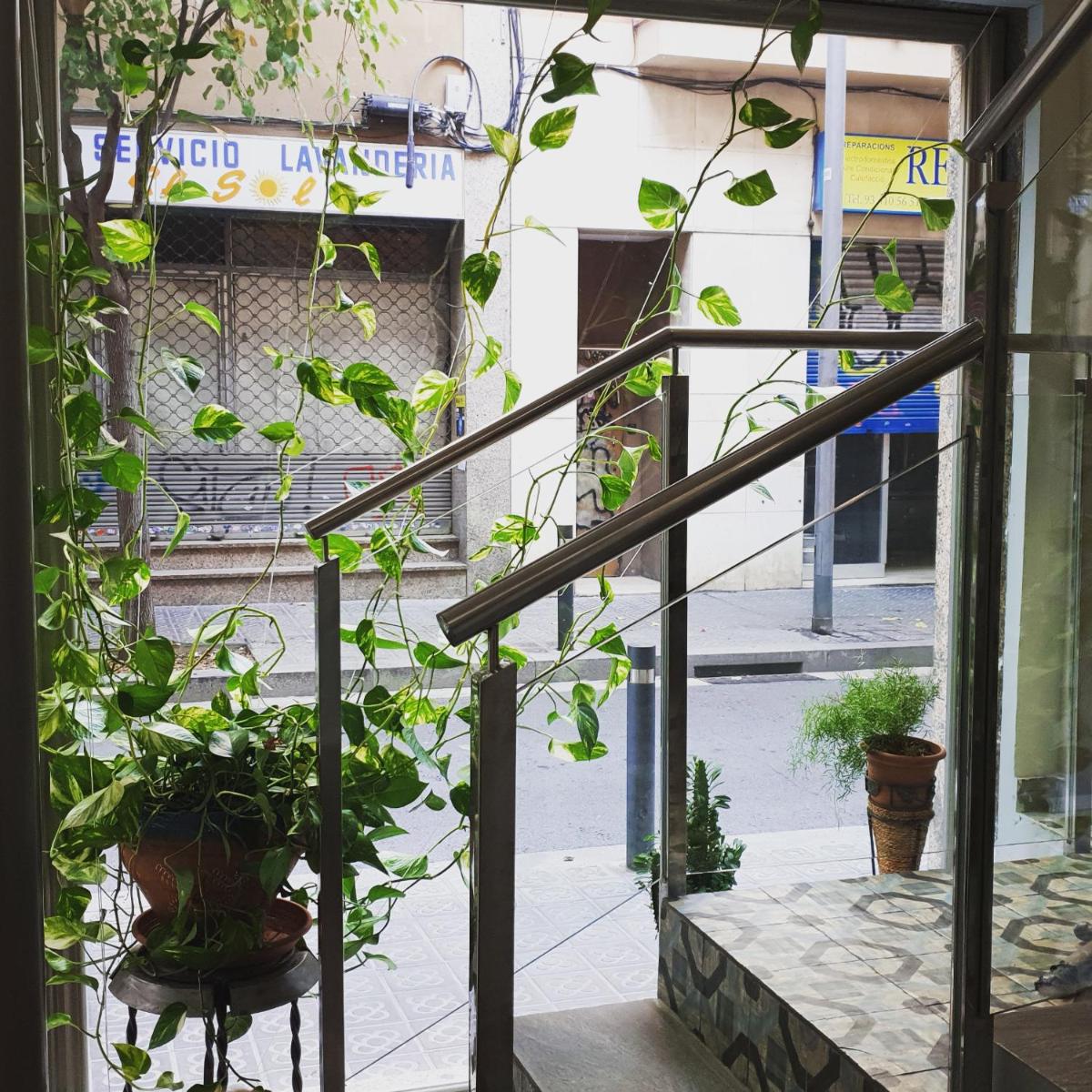 Hostal LIWI