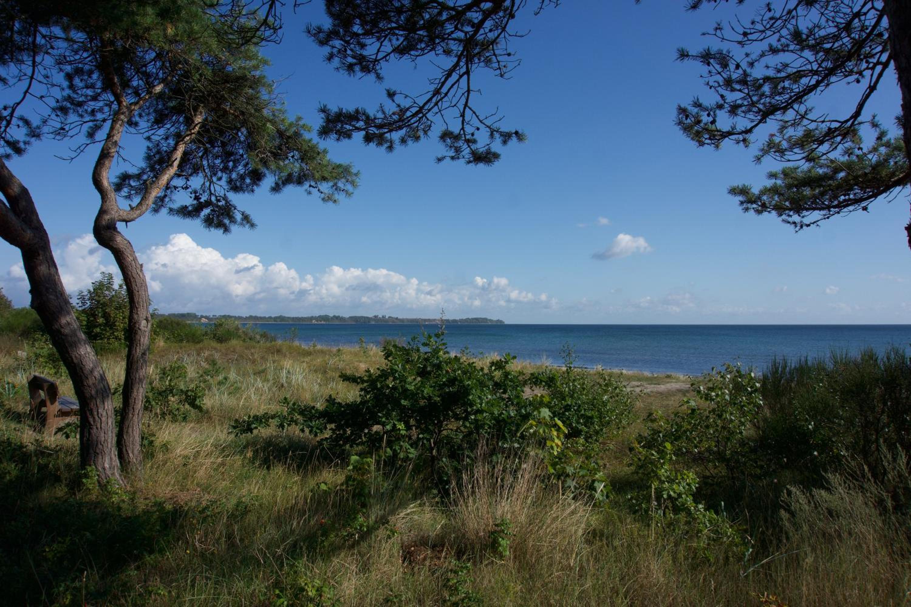 Am Strand