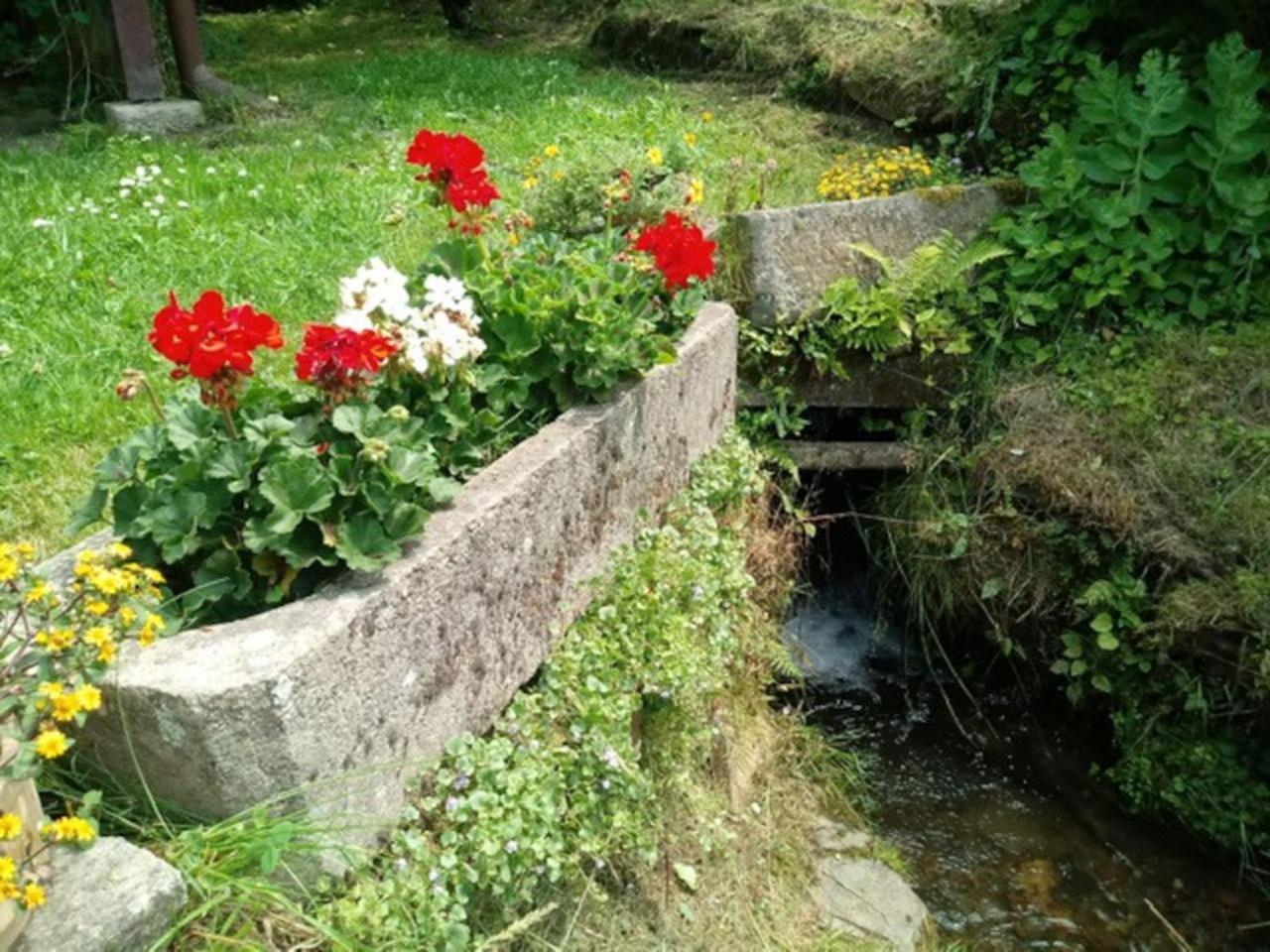 Chaloupka na konci světa